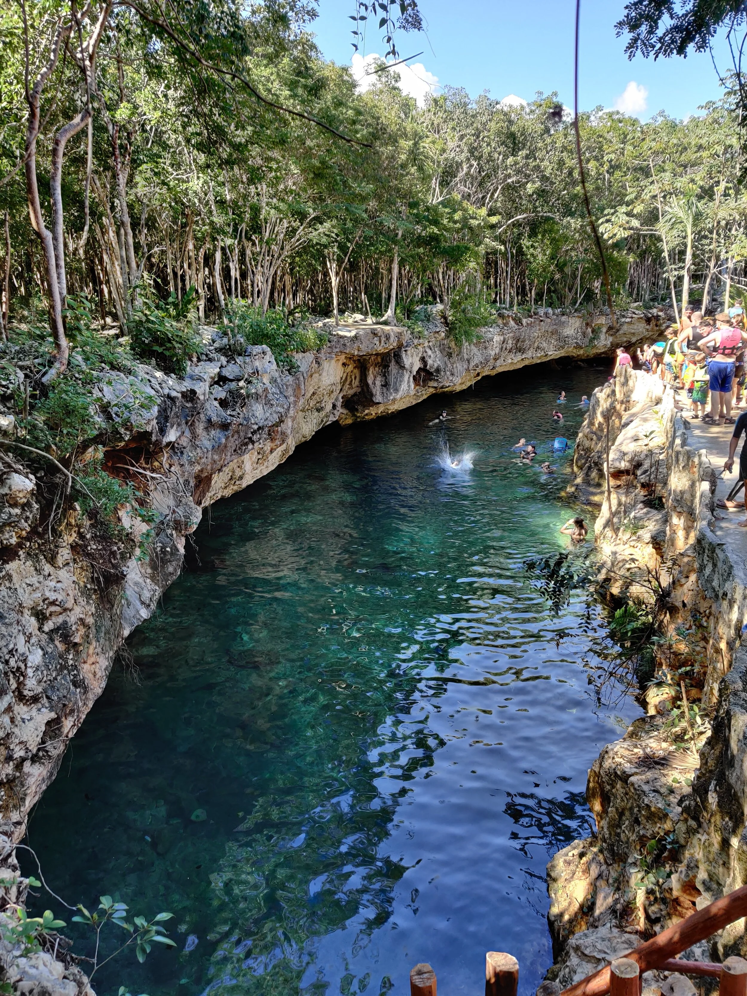 cenotes, mexico