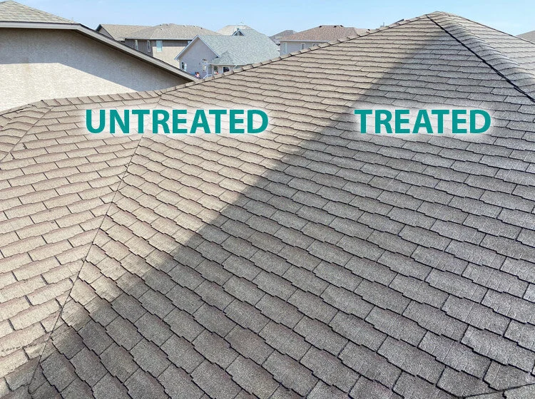 Treated and untreated shingles showing restored color
