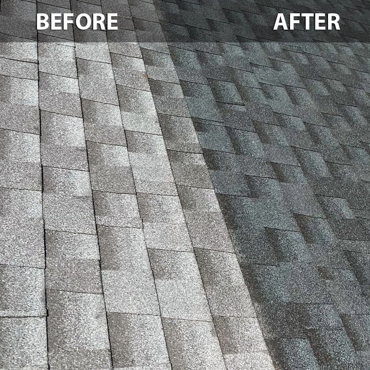Treated and untreated asphalt shingles side by side