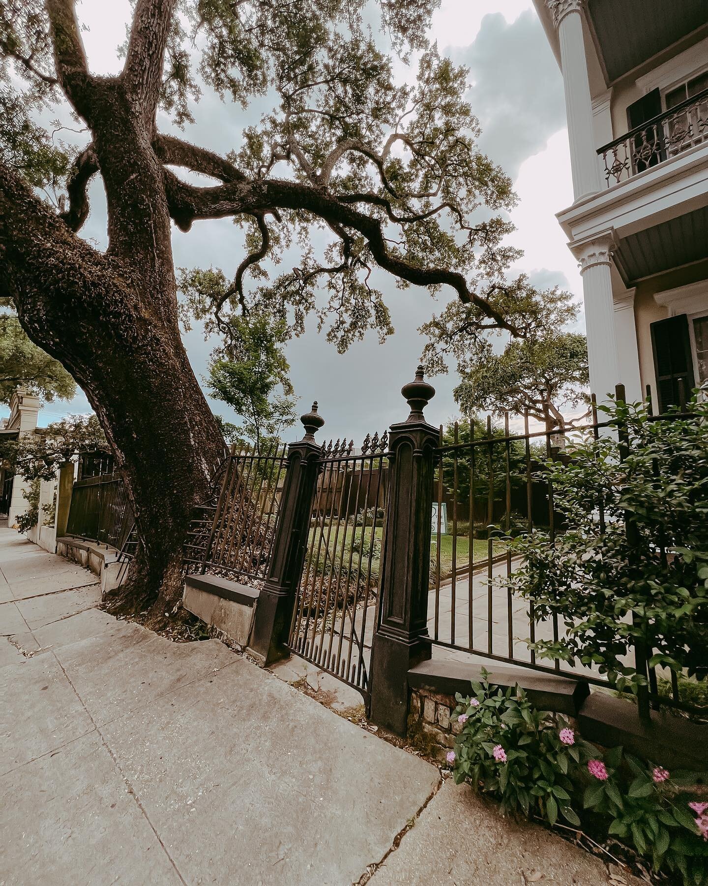Perspective. And a little bit of a contradiction.  #neworleans #nola #gardendistrict