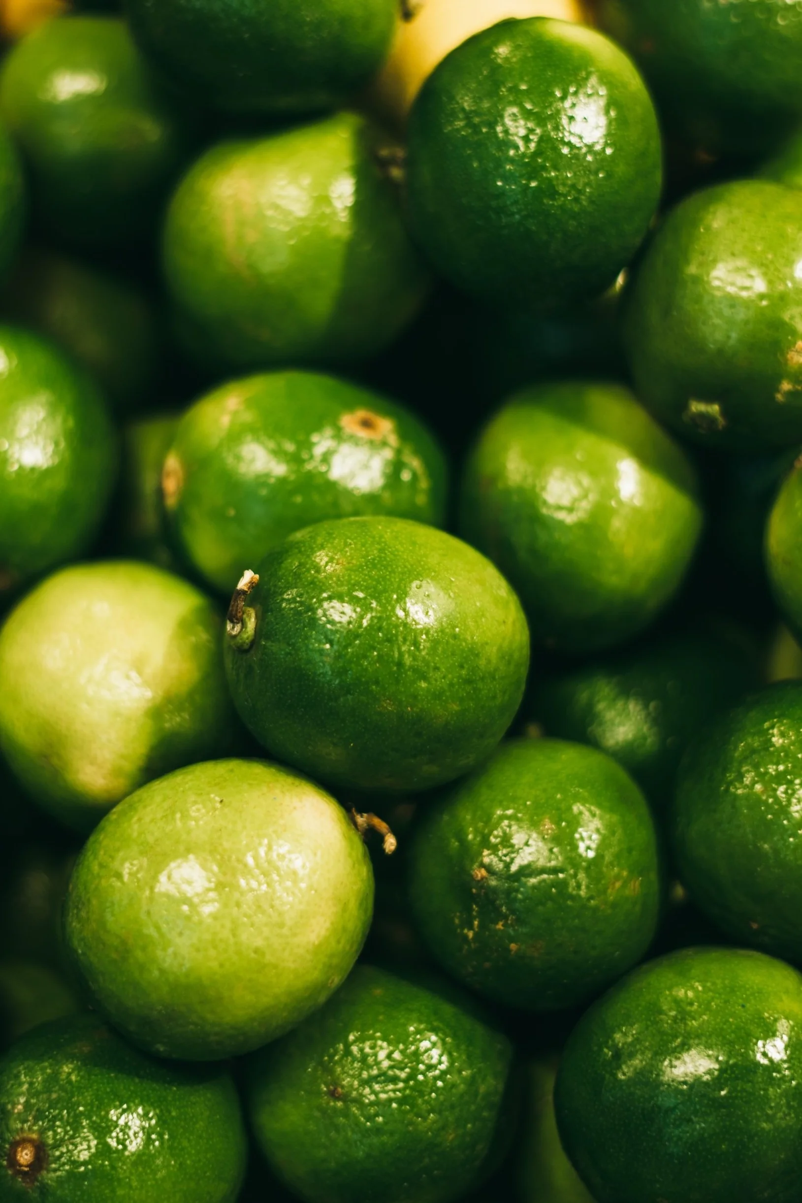 Limes