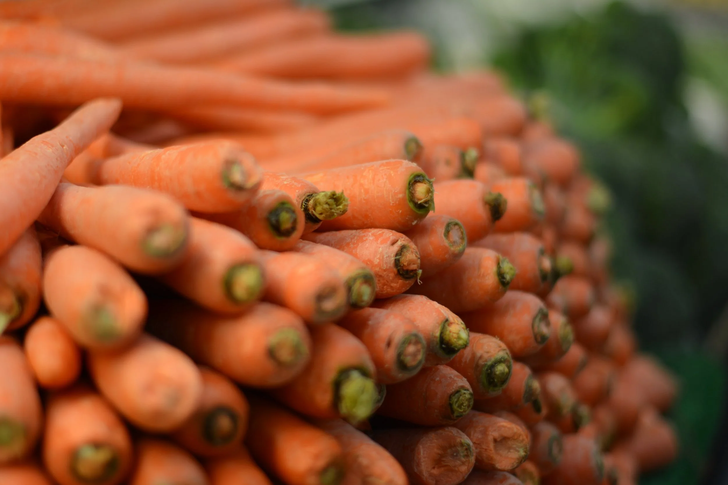 Carrot