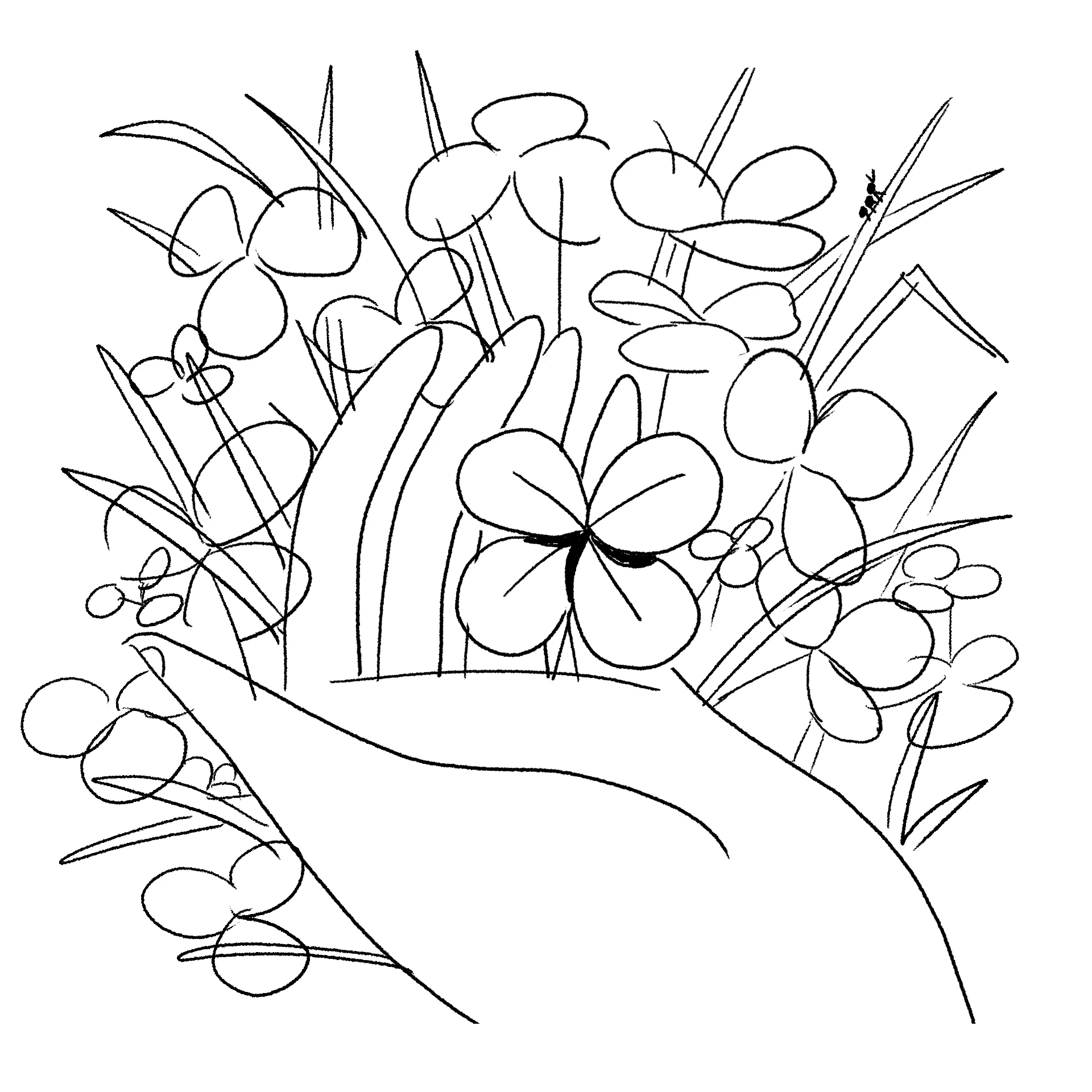 fourleafclover_3_sketch.jpg