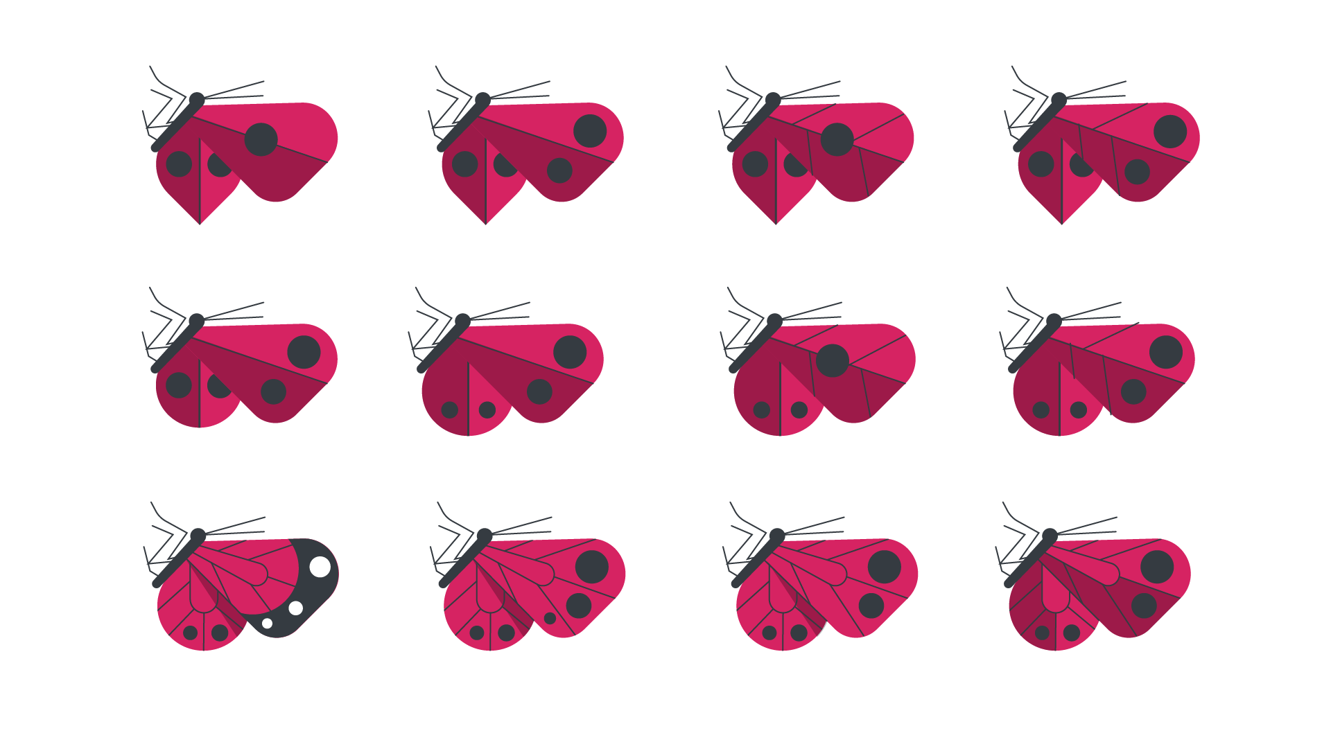 cocoontransform-05.png