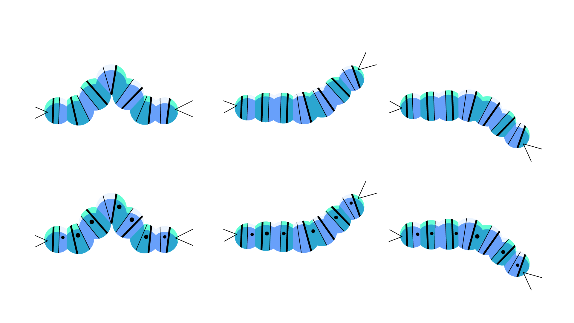 cocoontransform-11.png