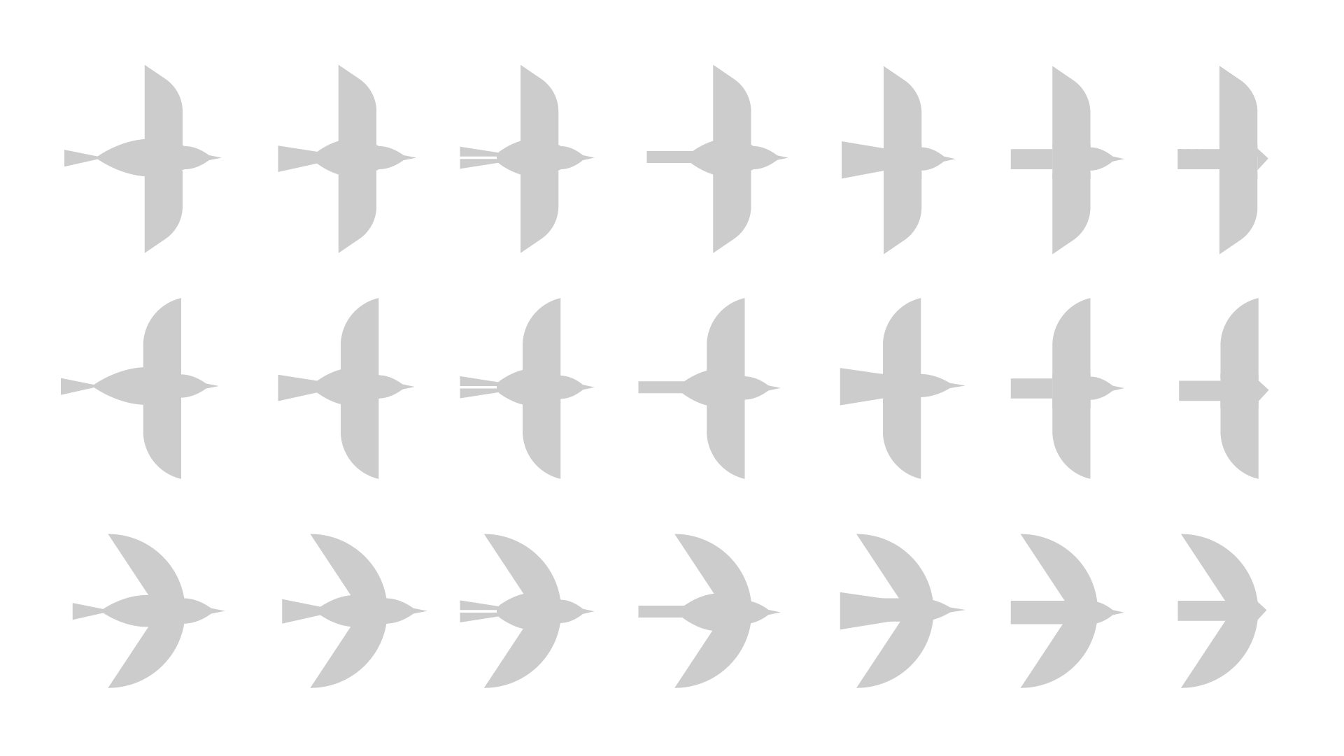 cocoontransform_Artboard 12.png