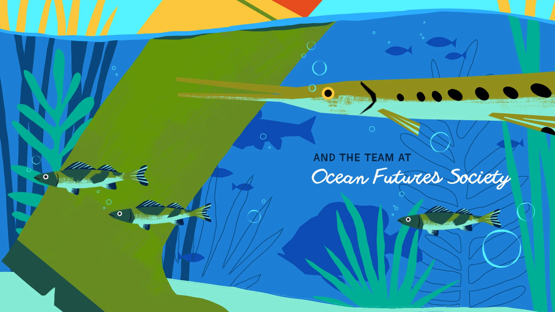 02-Cousteau-Fish-04.jpg