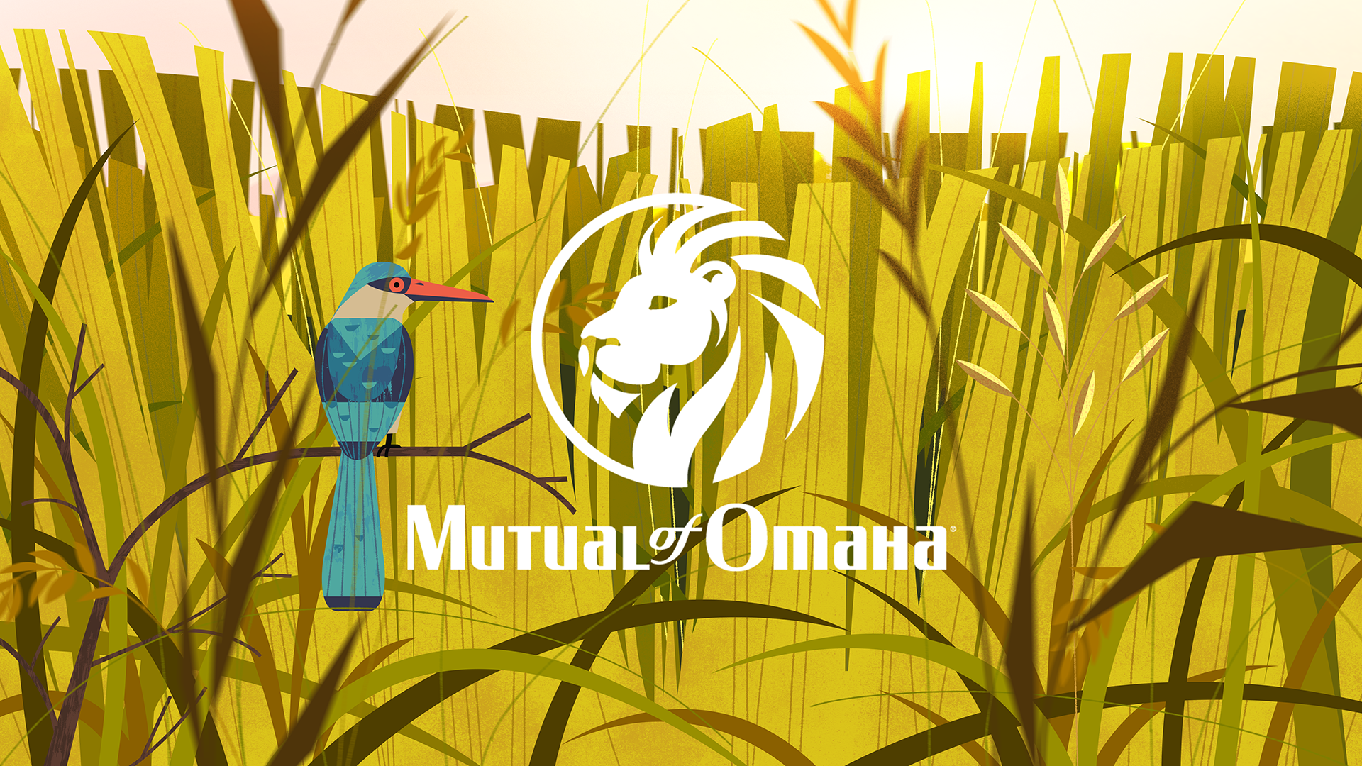 MoO_S_Opening_210324.png