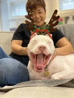 My Approach to Pelvic Health Physiotherapy 