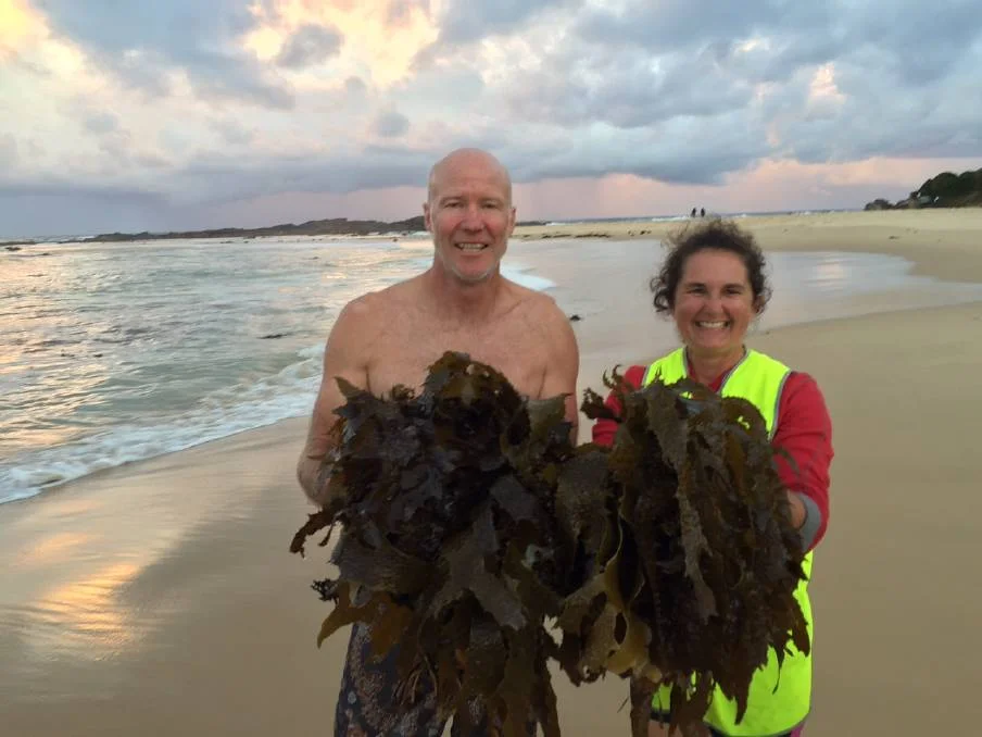 The new 'kelp lady' of Narooma harvesting seaweed