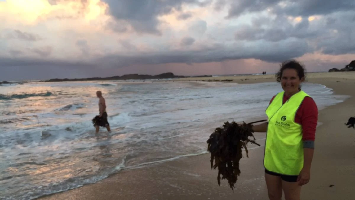 KELP LADY.jpg