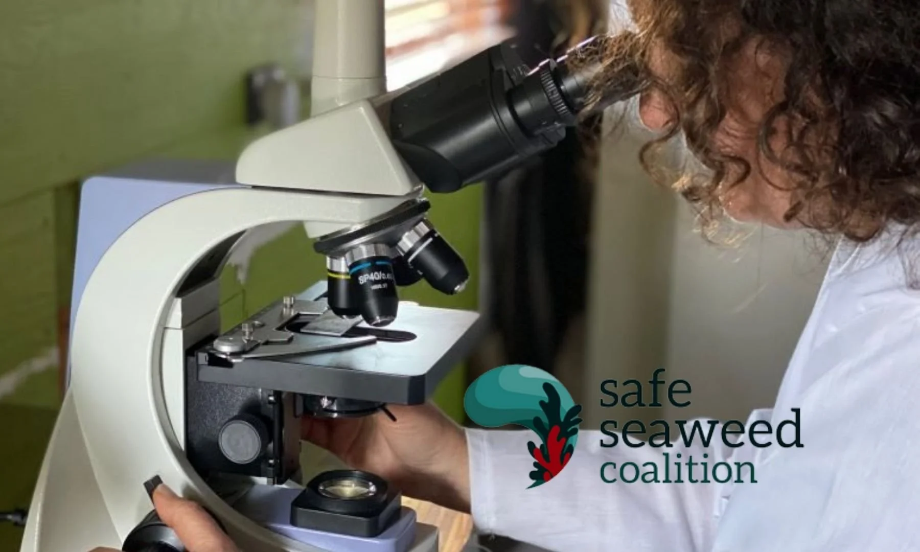 The Safe Seaweed Coalition