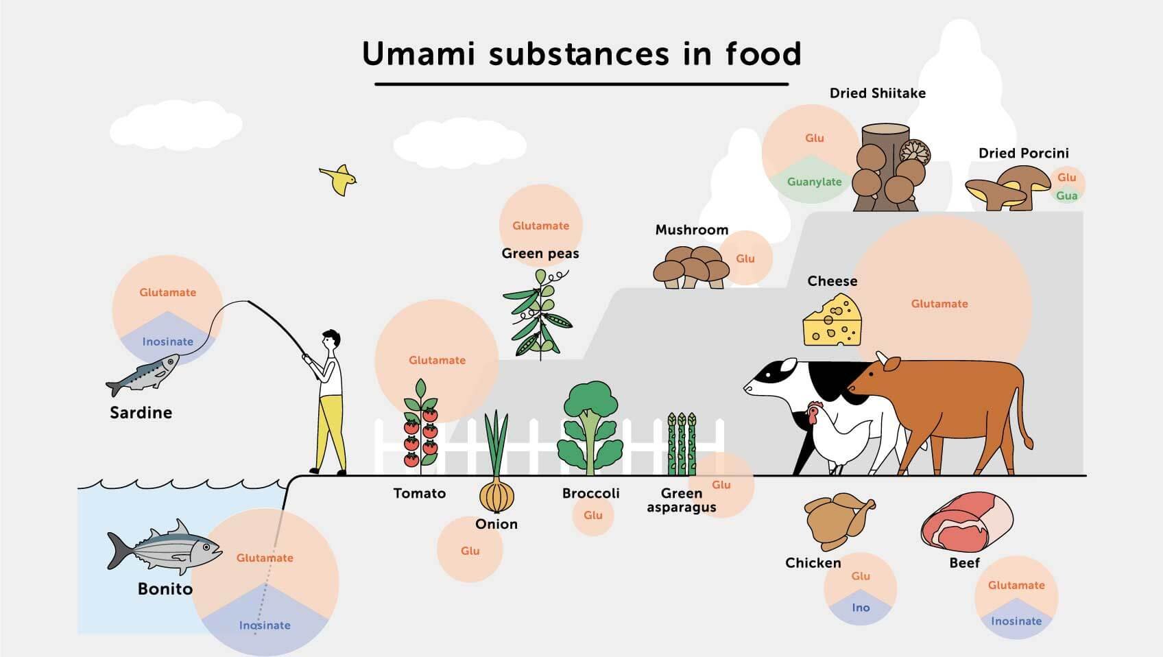 Umami - The 5th Taste — Sea Health Products