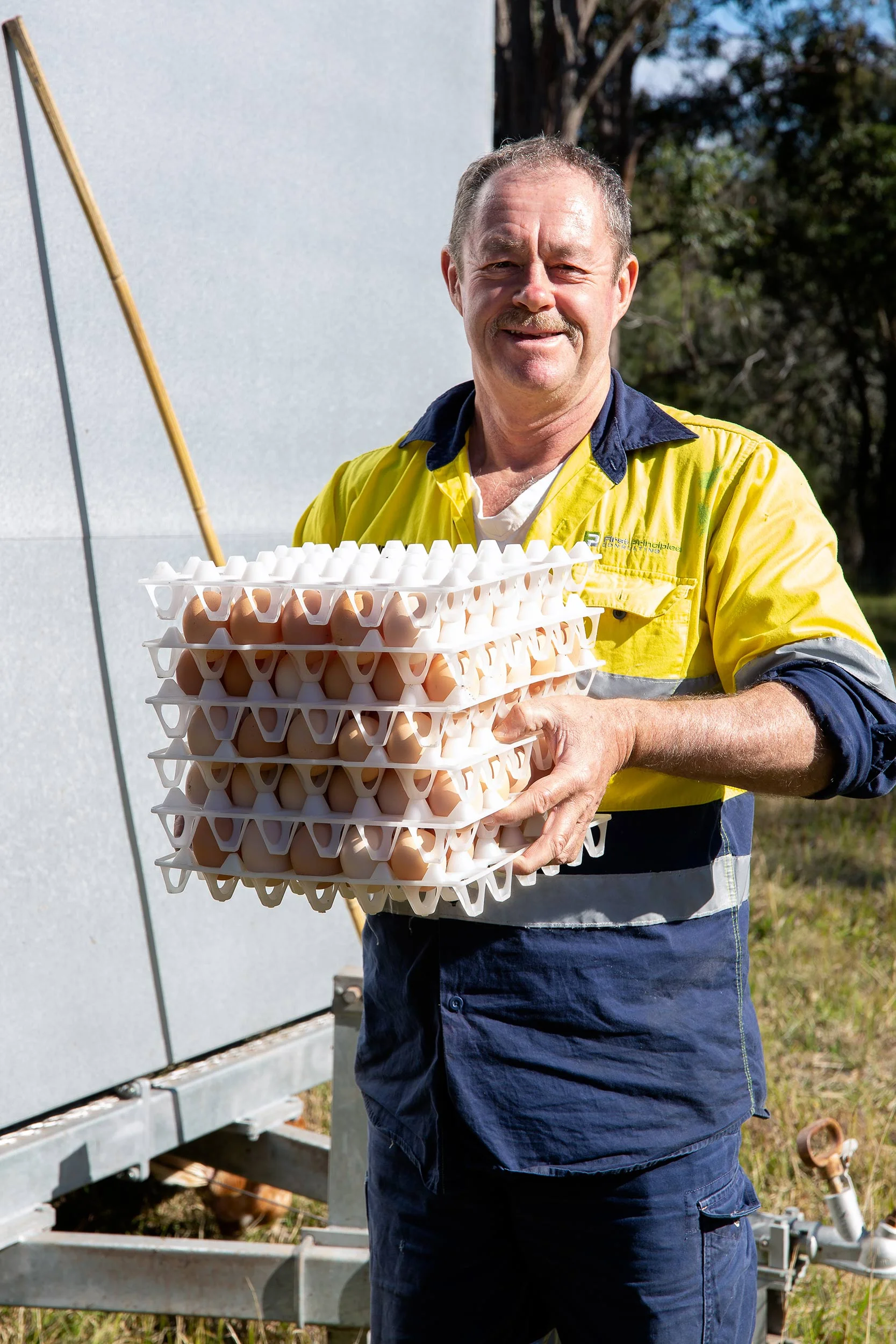 glft-topi-open-range-eggs.jpg