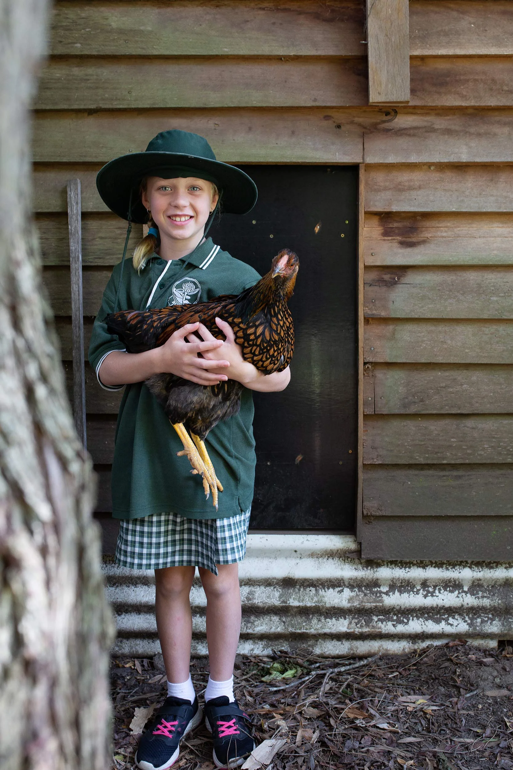 glft-bungwahl-school-outdoor-learning-chickens.jpg