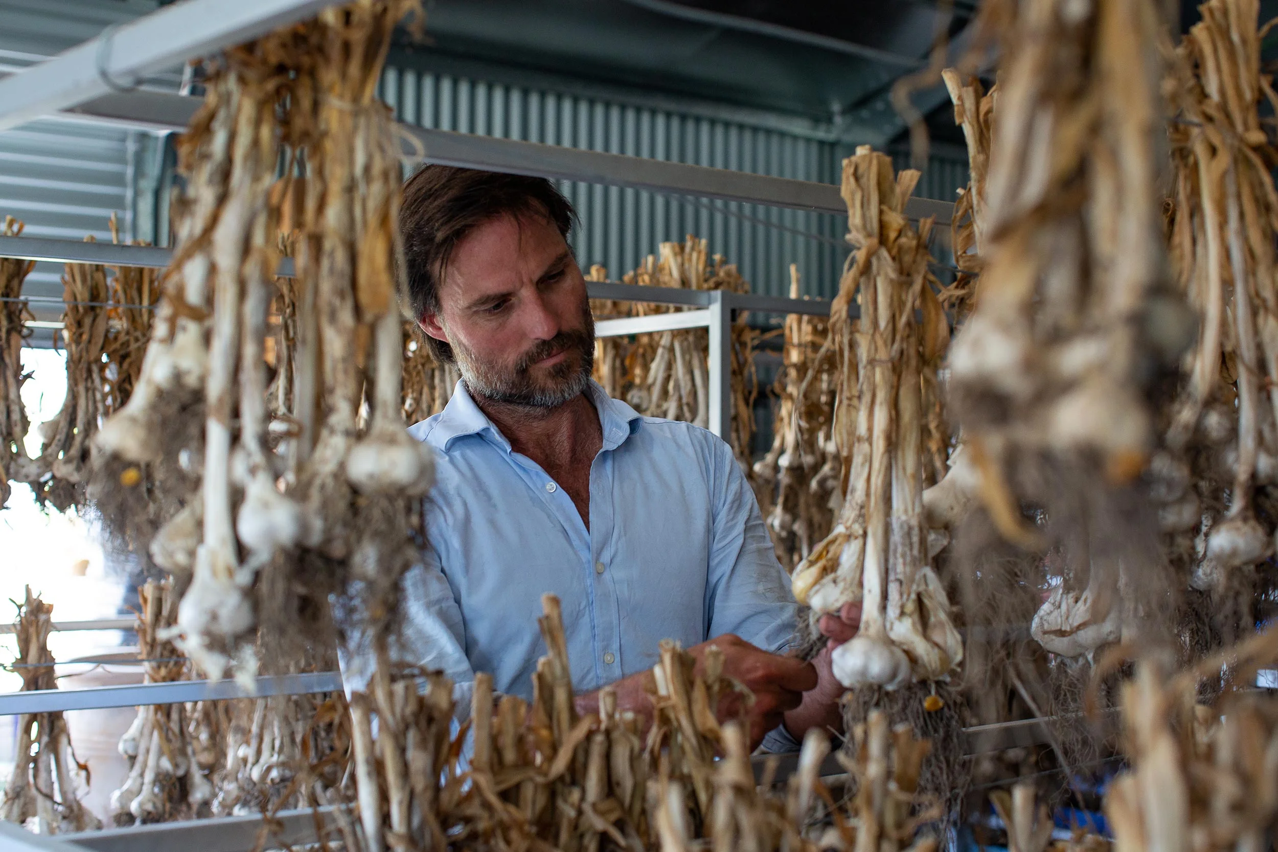glft-valley-view-farm-co-garlic-hanging.jpg