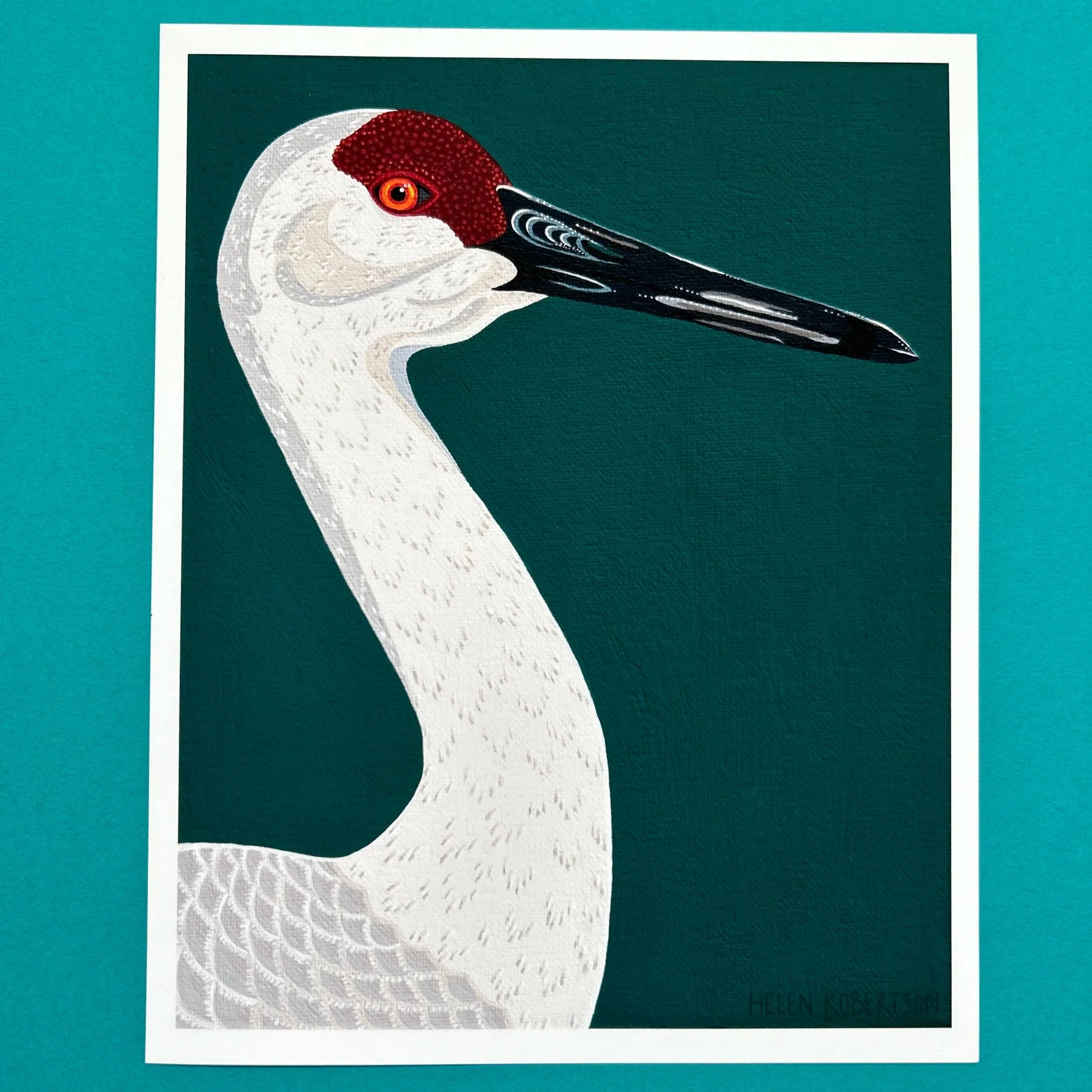 sandhill+crane2.jpg