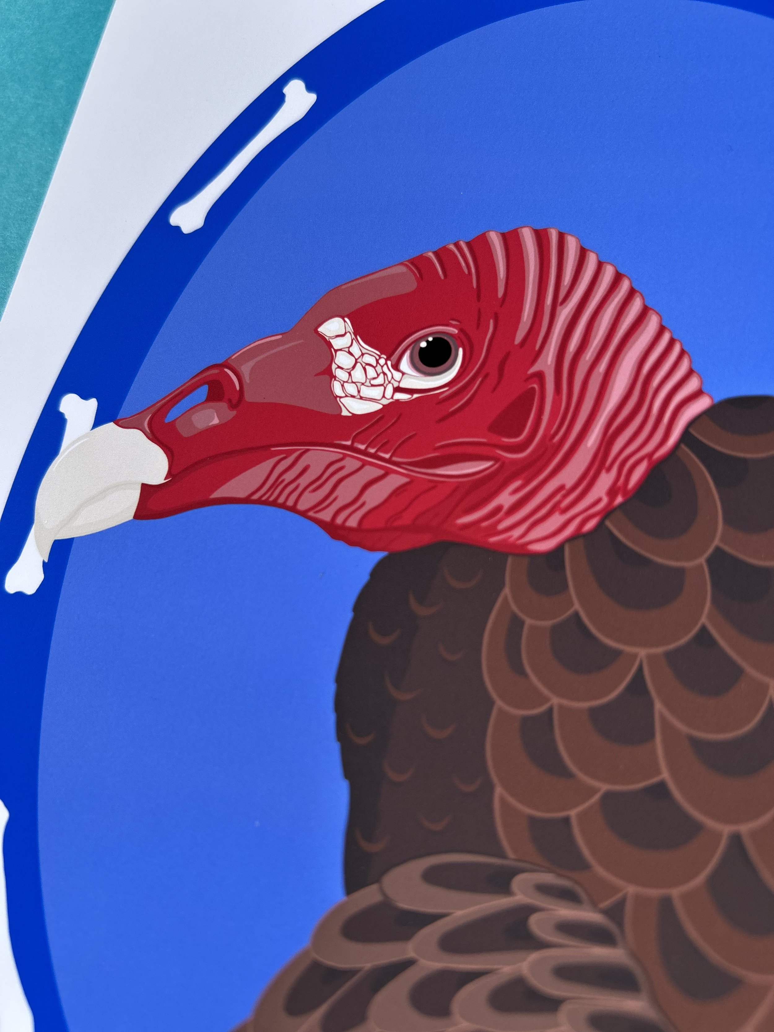 vulture print closeup 2.jpeg