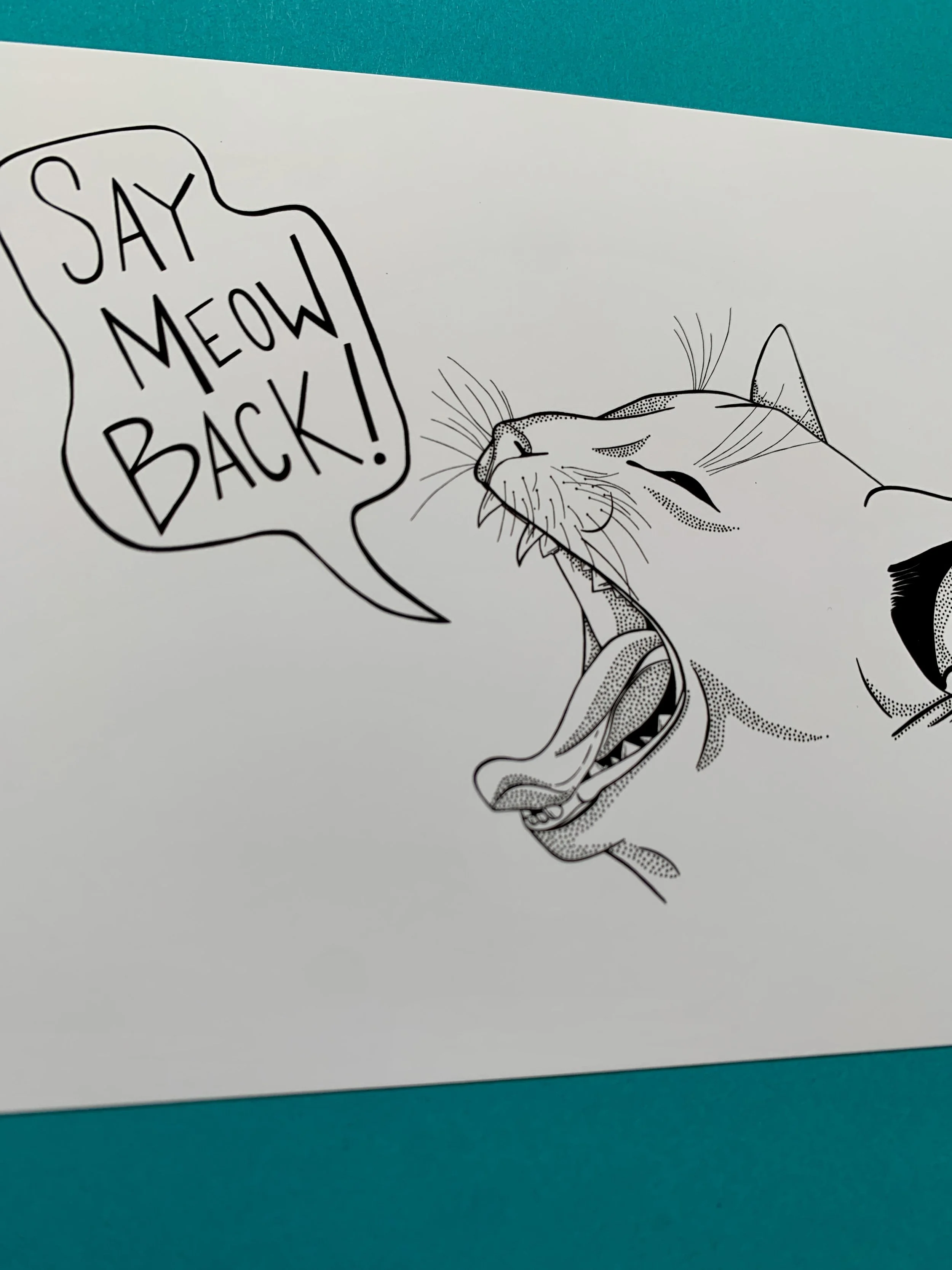 cat 3.JPG