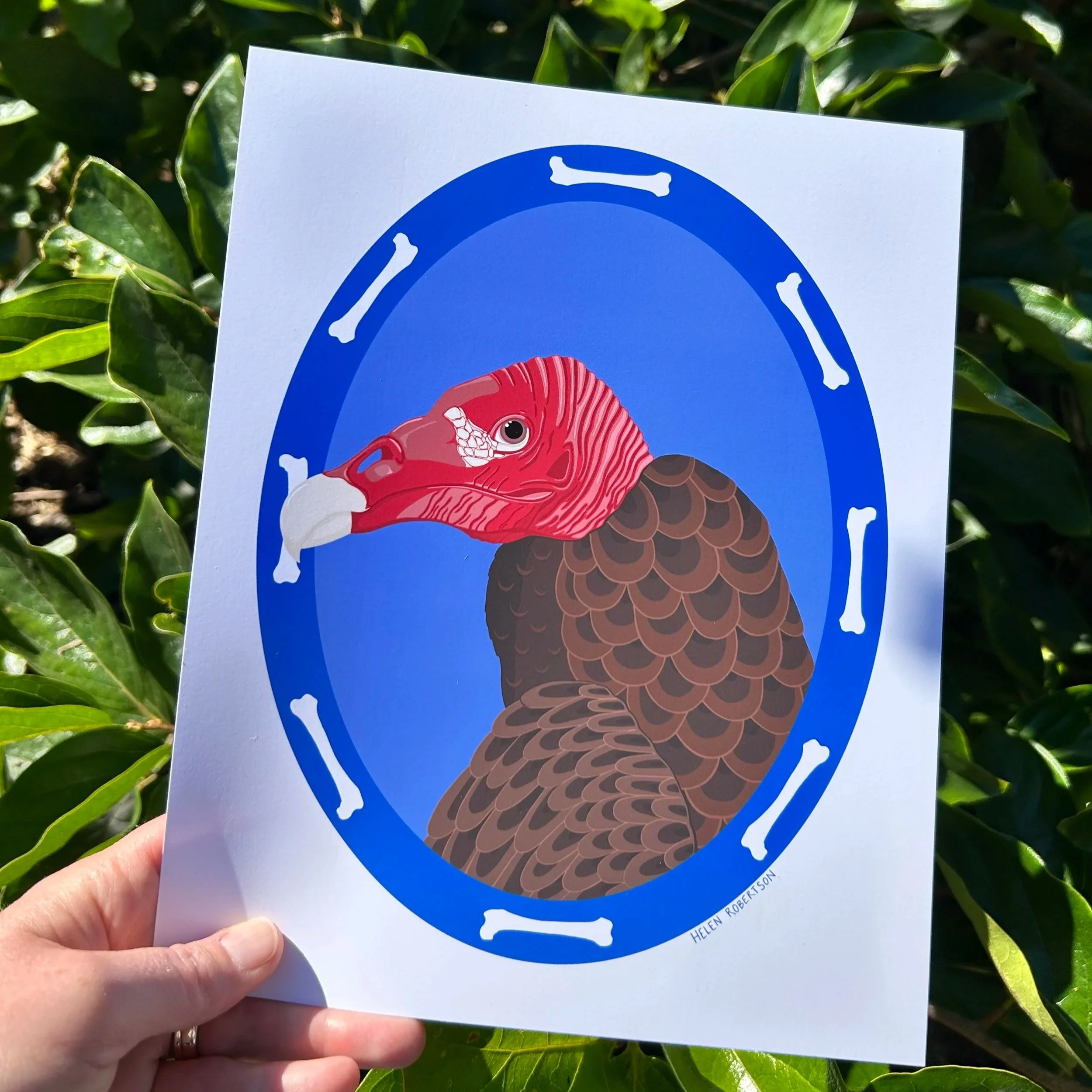 vulture+print+in+hand+2.jpg