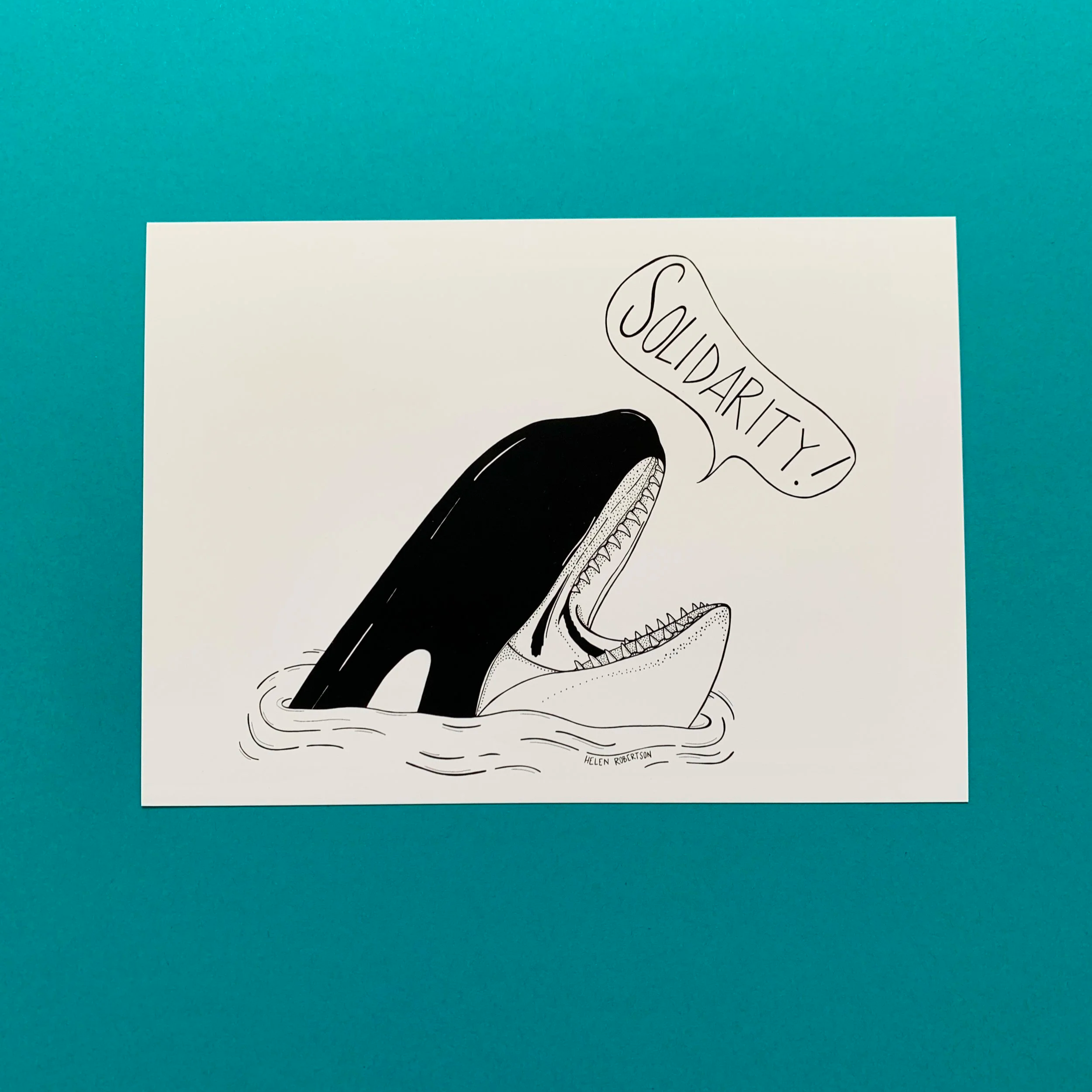 orca.png