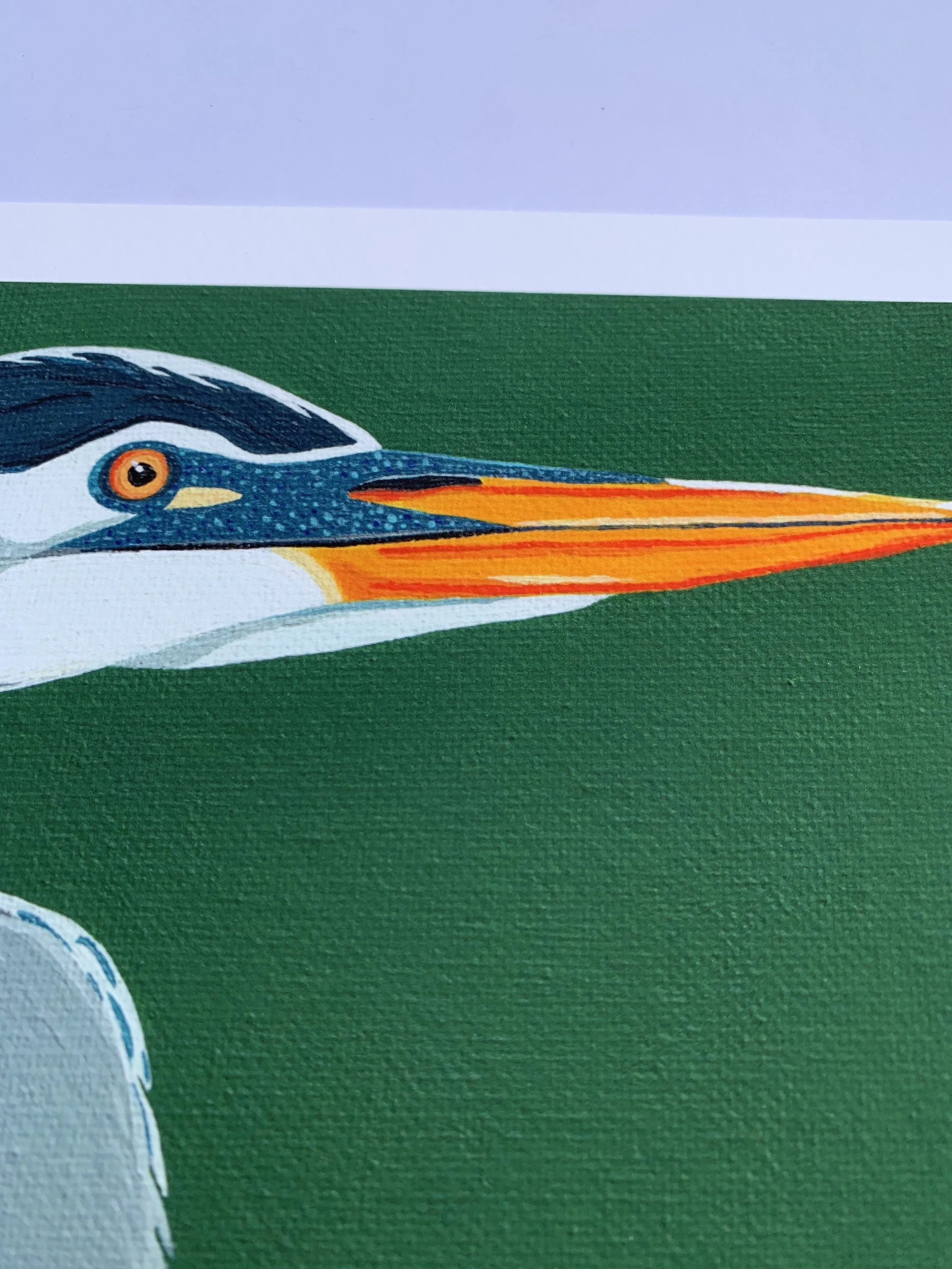 close up.jpg