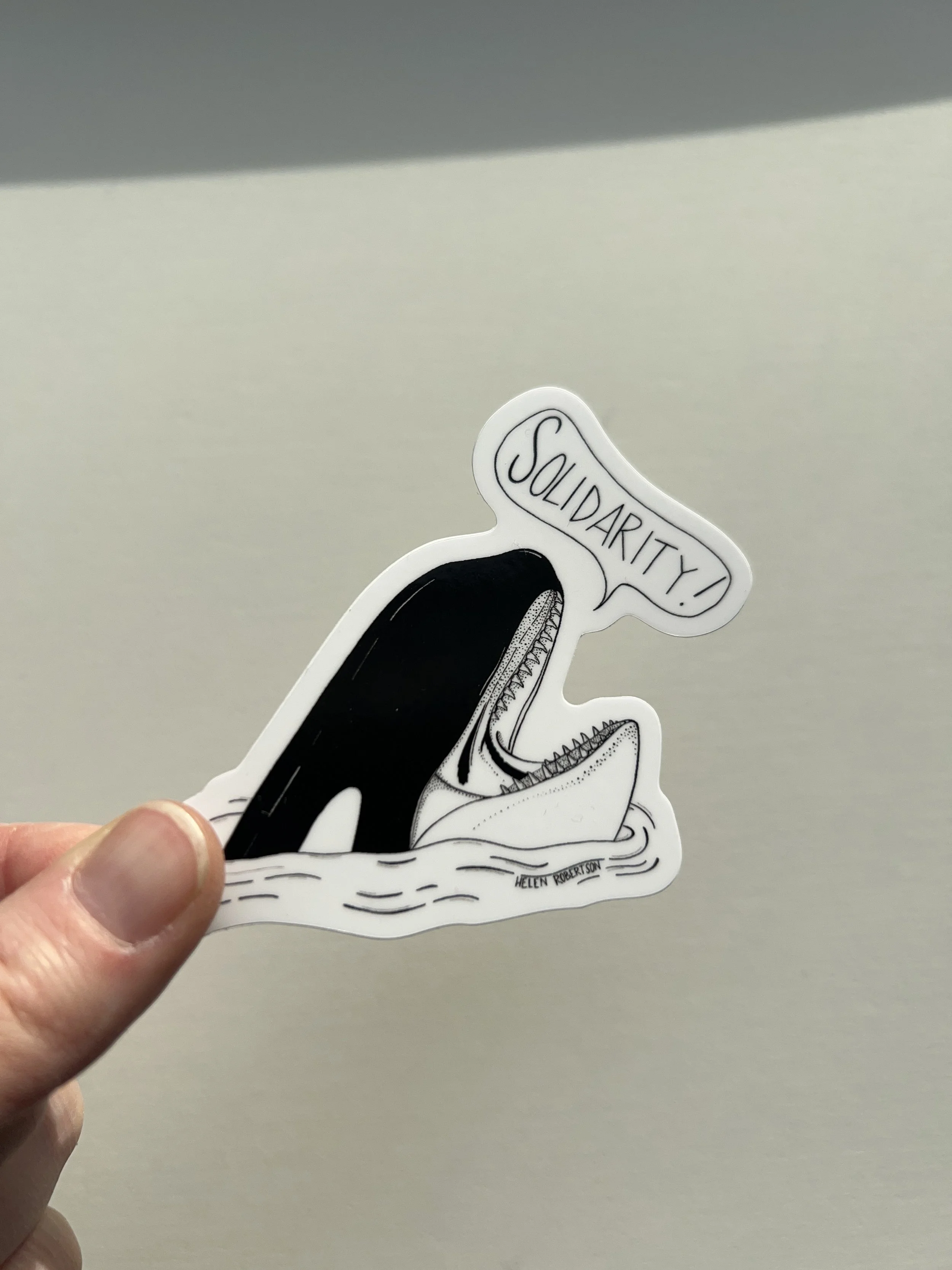 orca sticker in hand 3.JPG