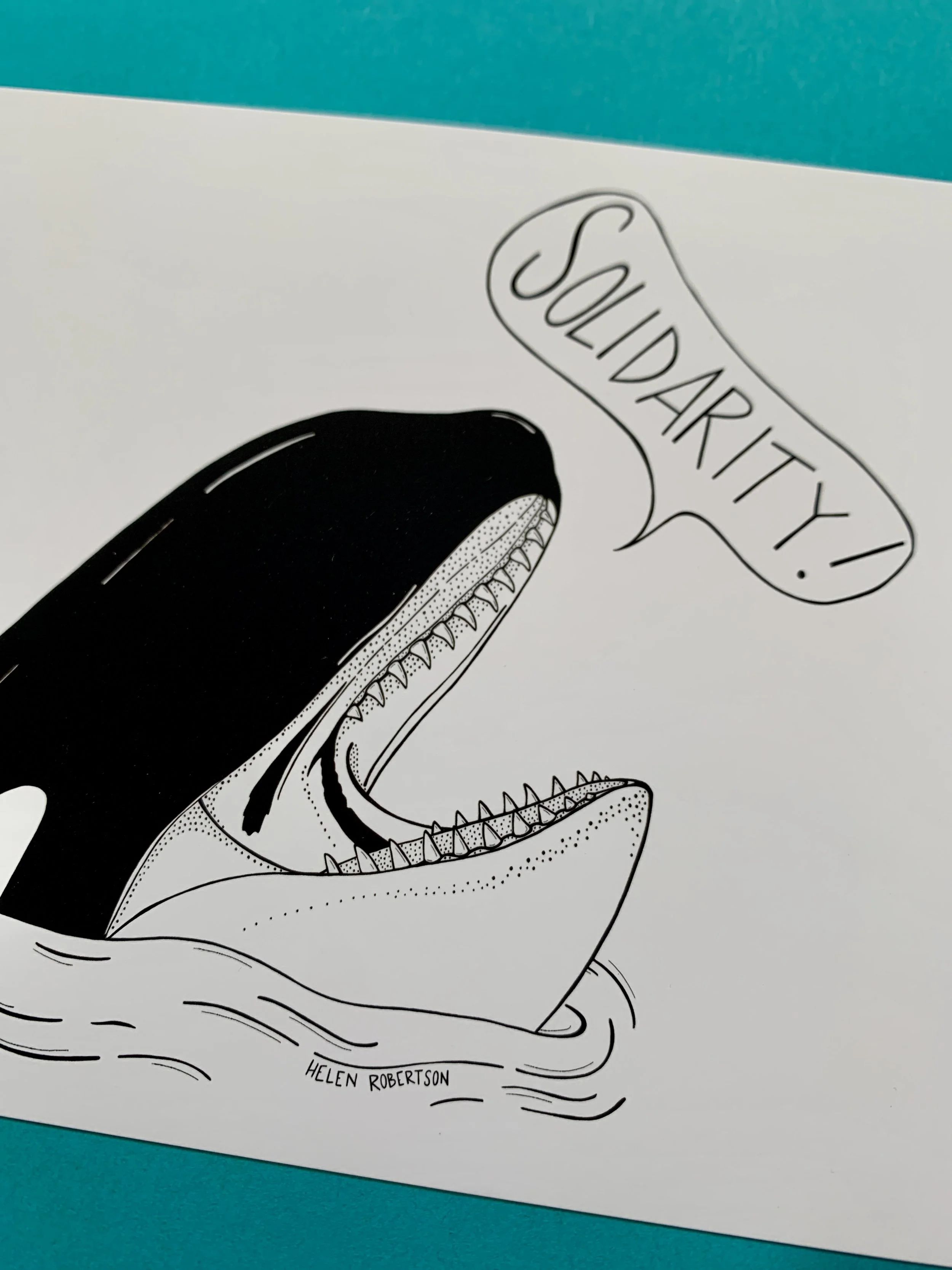 orca 2.JPG