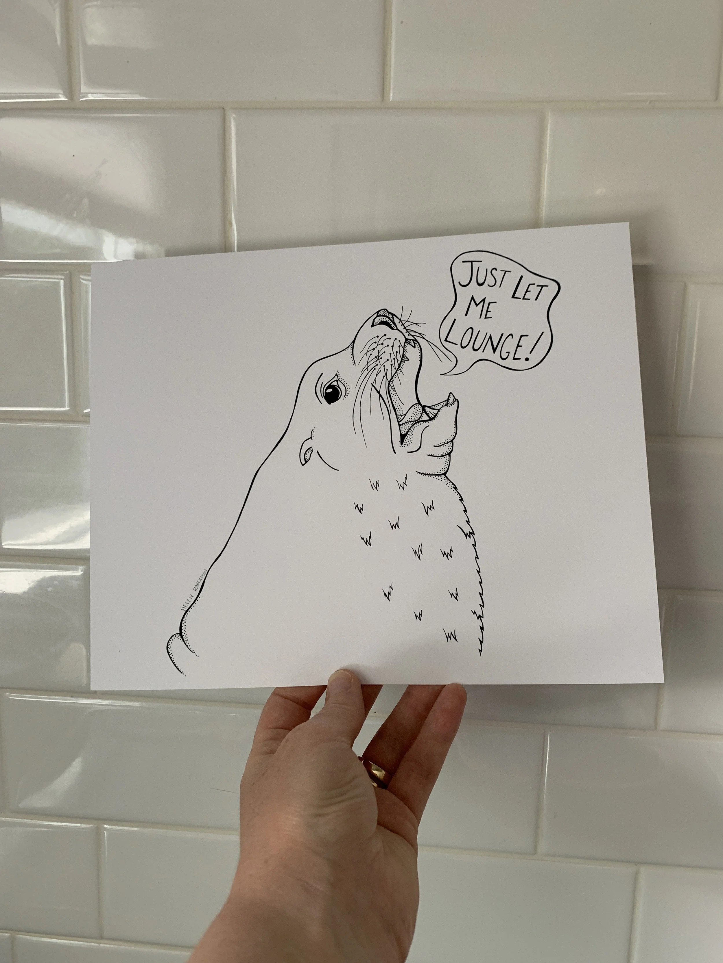 sea lion in hand 2.JPG