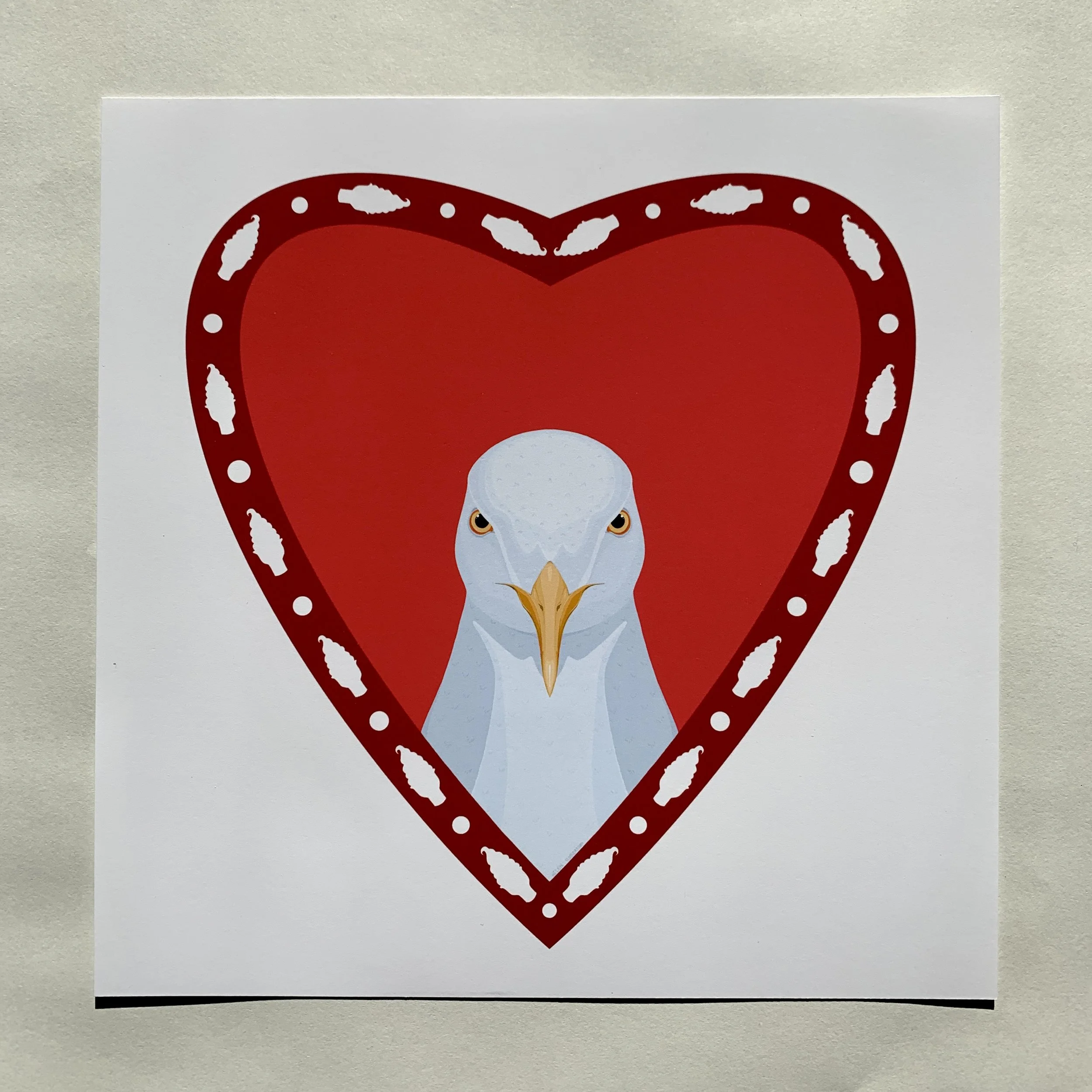 seagull primary.JPG