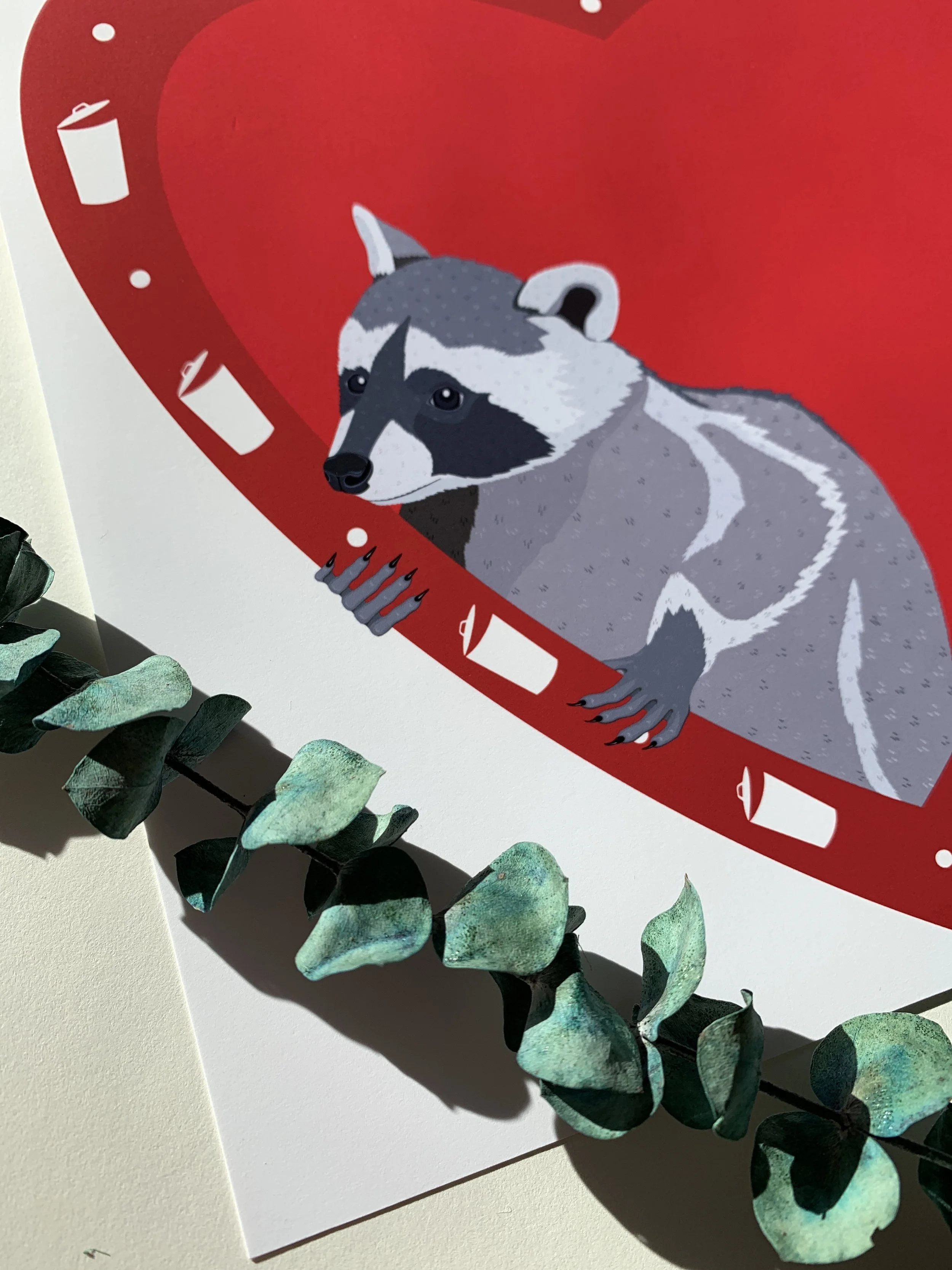 raccoon close.JPG