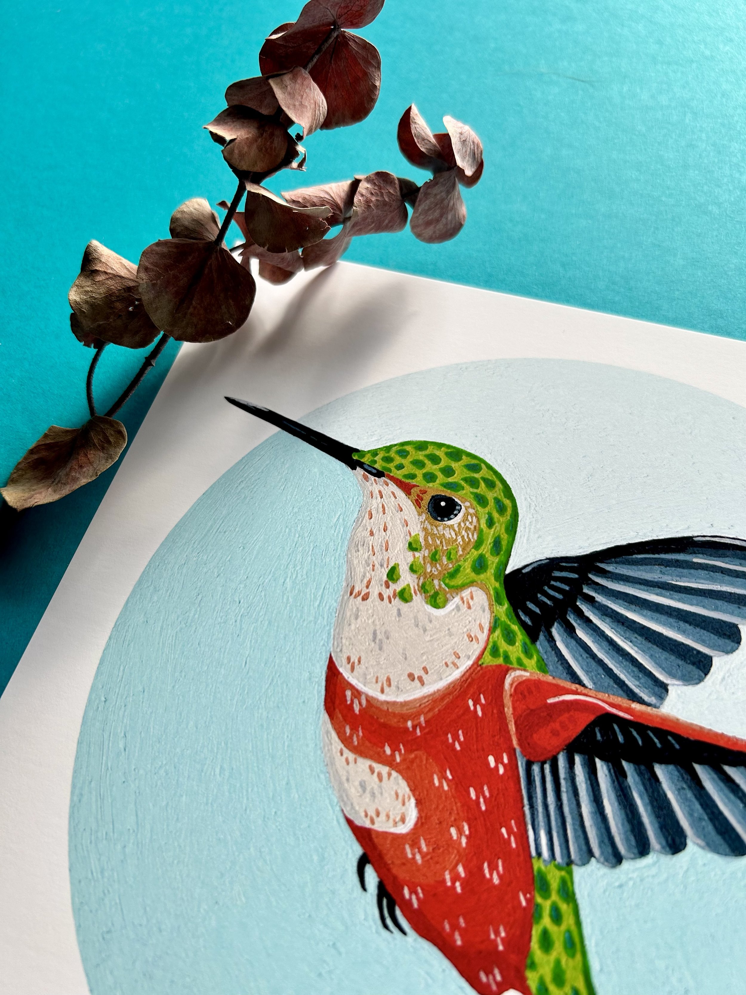hummingbird 5.jpeg