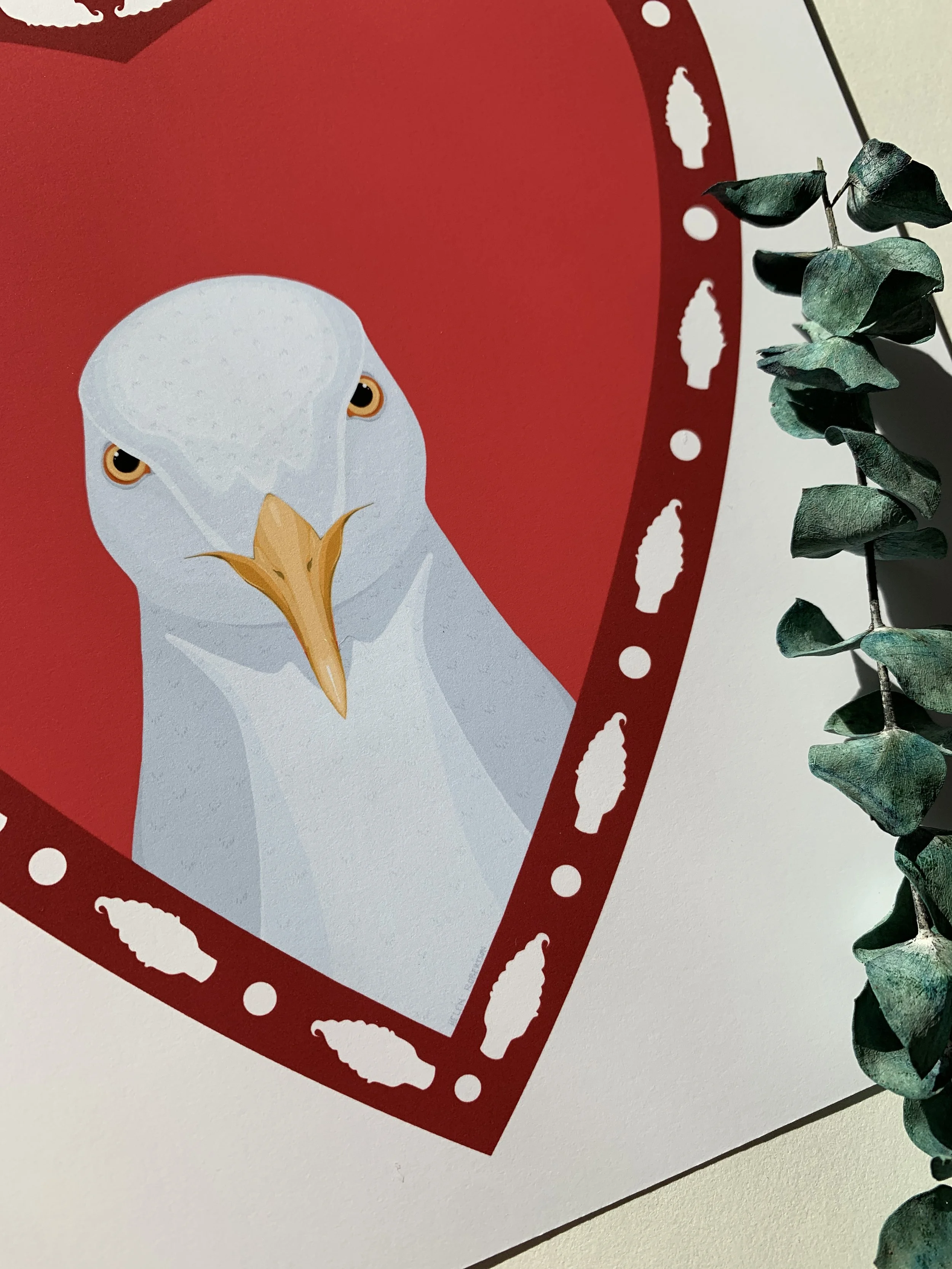 seagull close.JPG