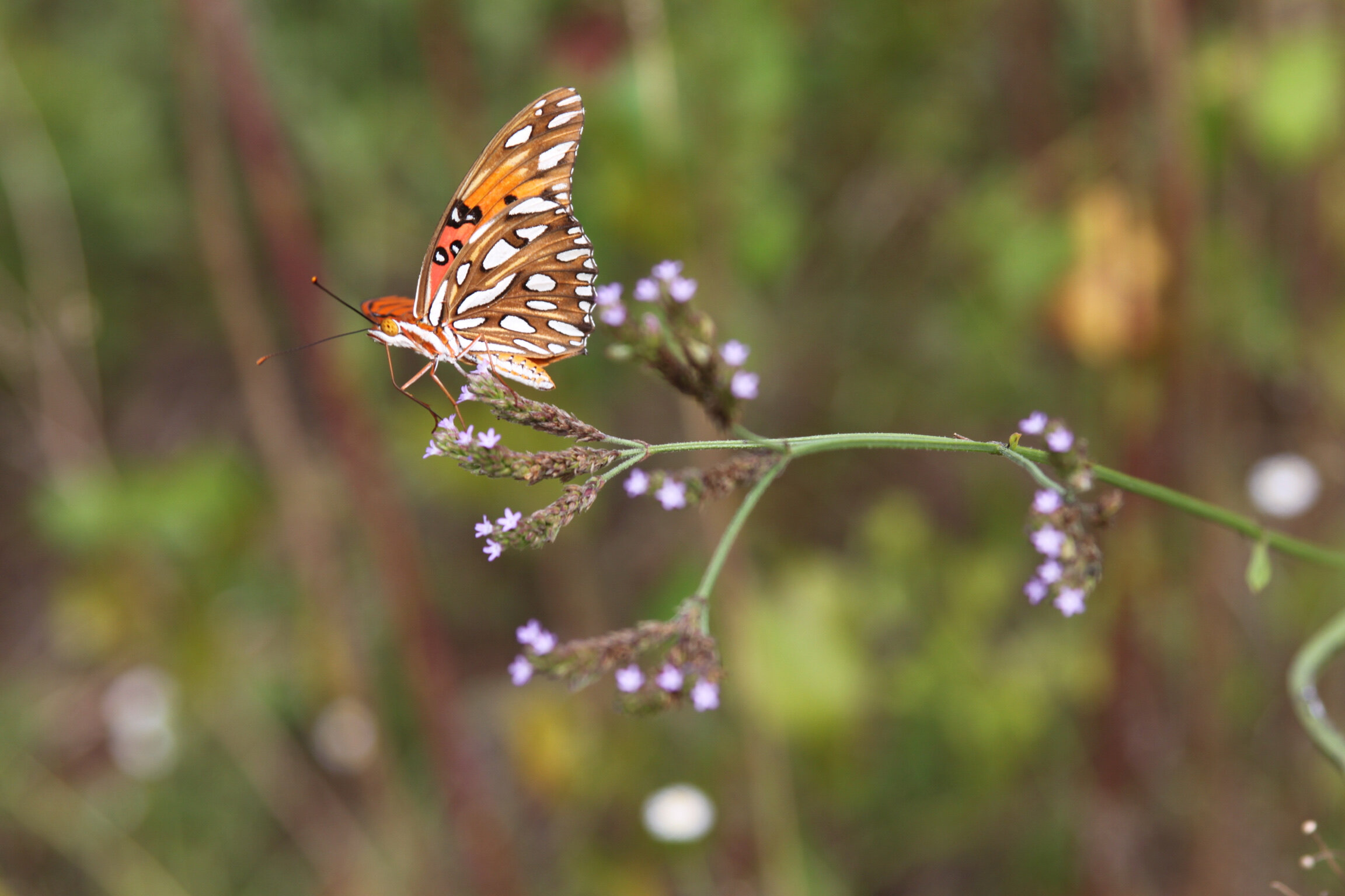 Do you struggle with self-compassion?