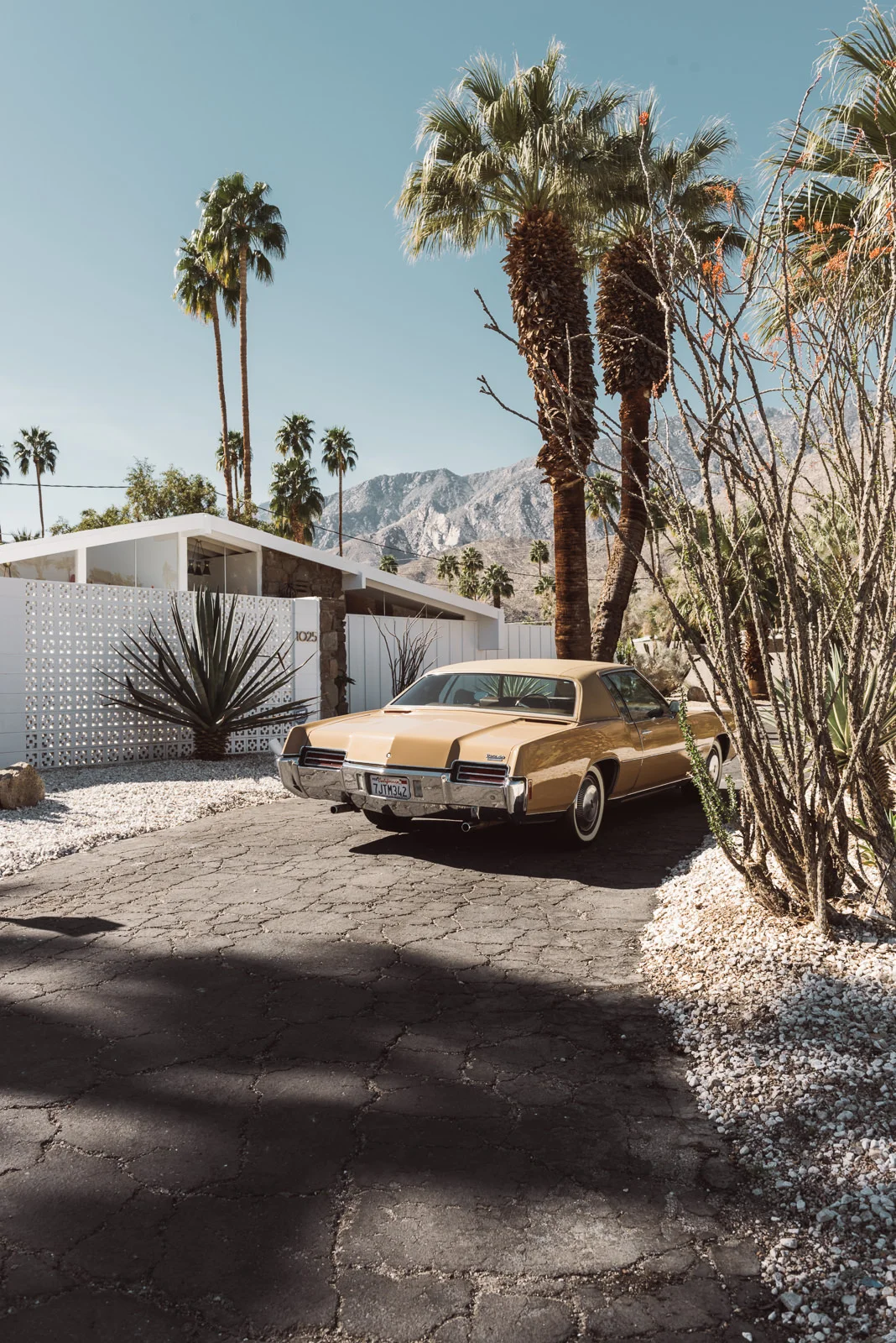 KatePalmSprings_Insta-5696.jpg
