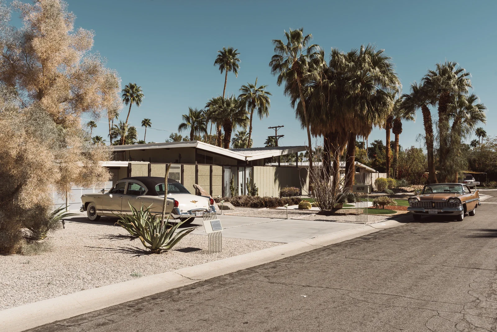 KatePalmSprings_Insta-5699.jpg