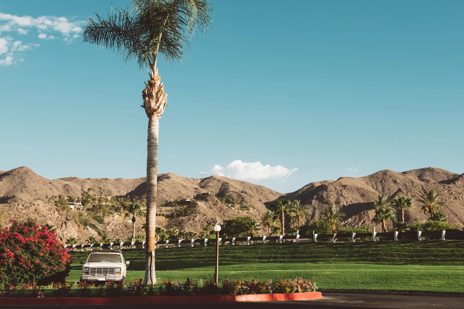 PalmSprings--4.jpg
