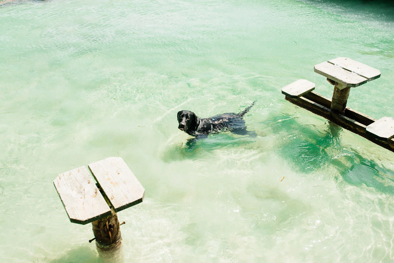 Belize_web_Kate-8826.jpg