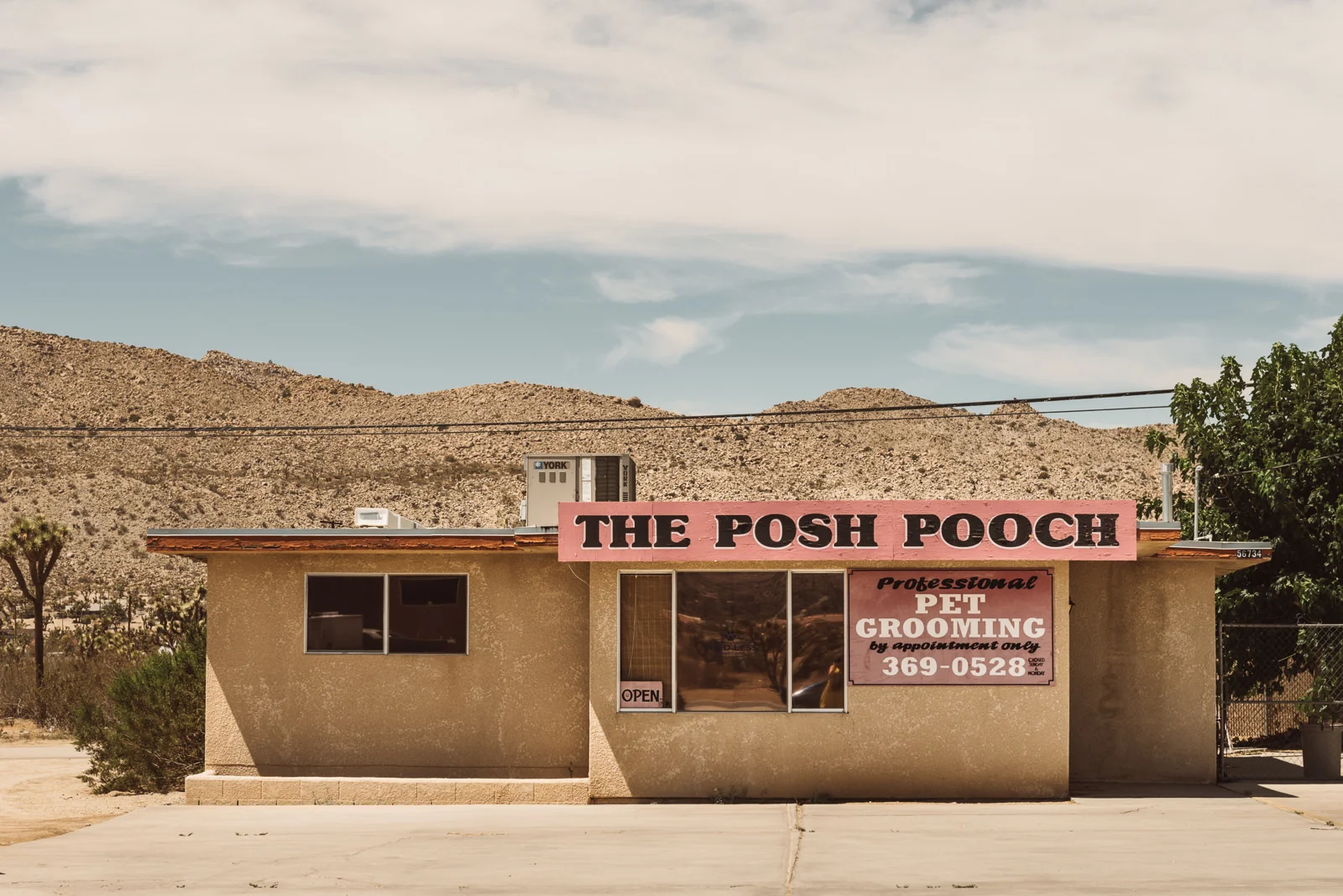 Joshua_Tree-8.jpg