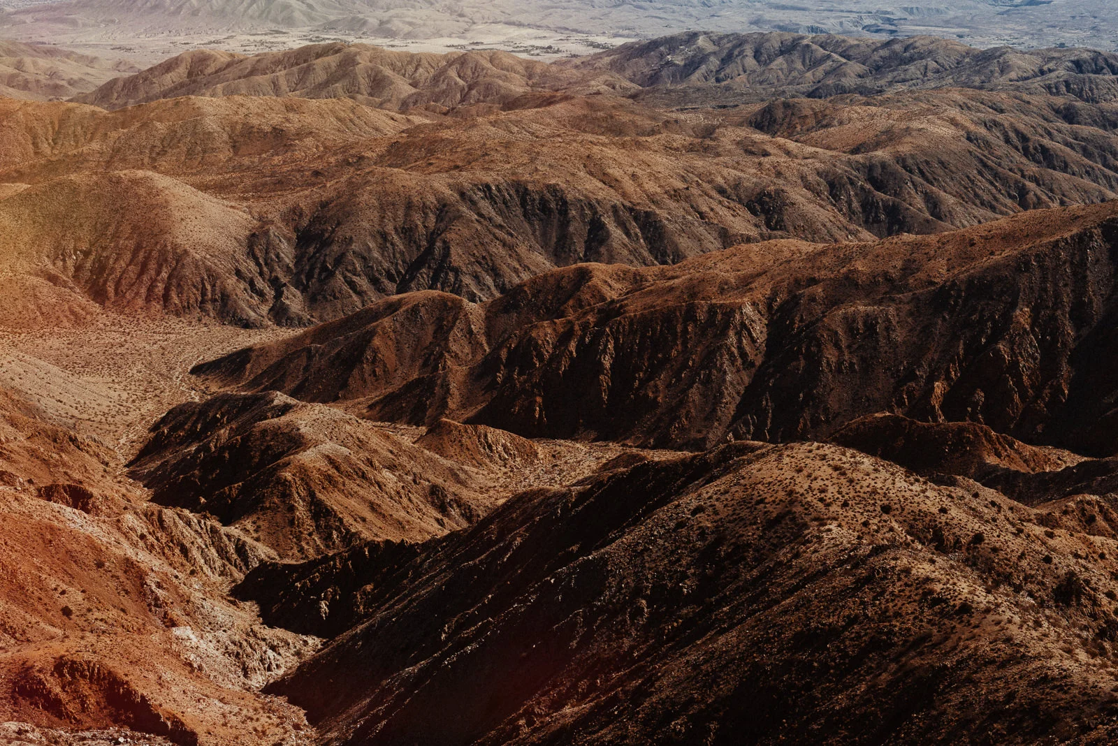 Joshua_Tree-17.jpg