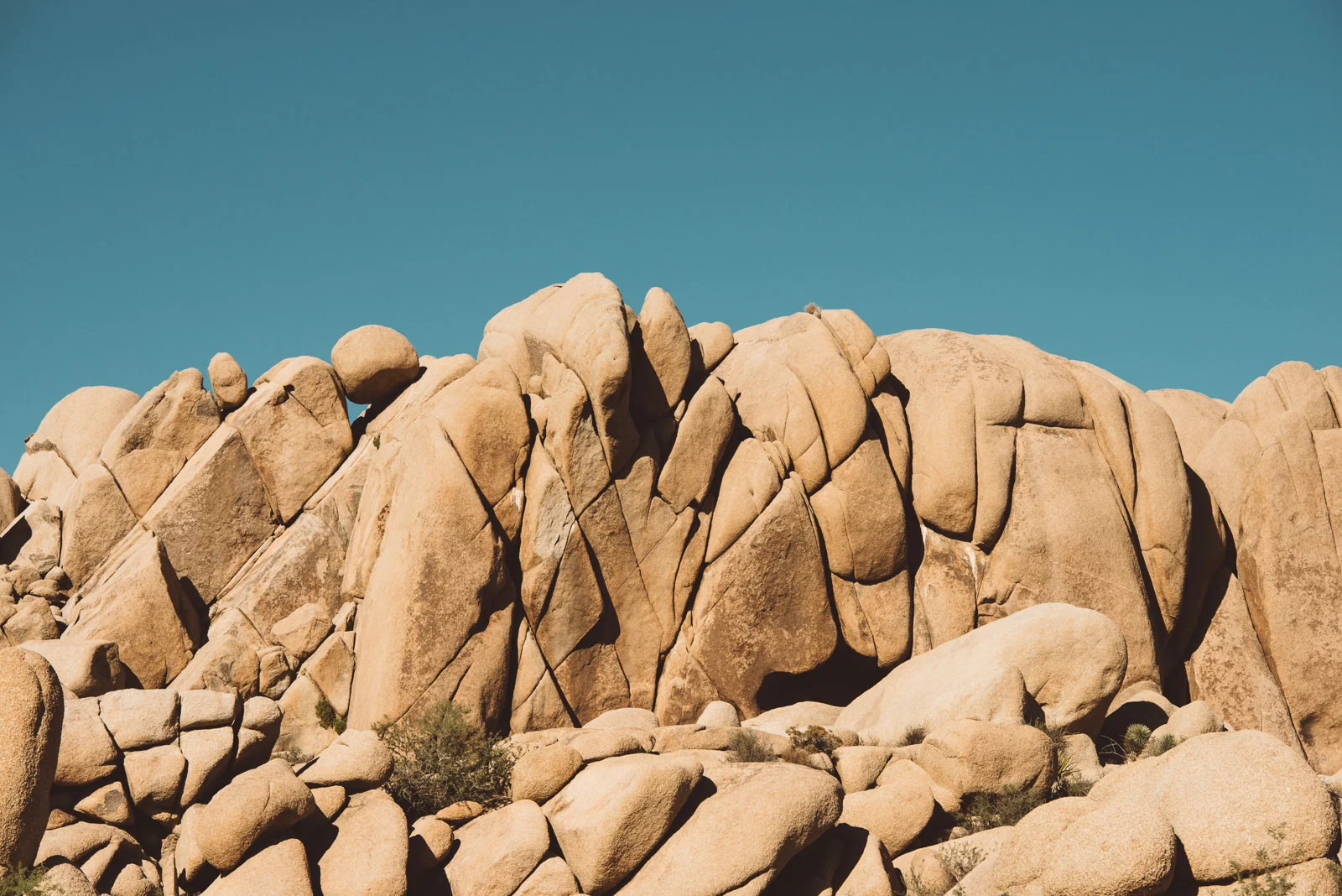 Joshua_Tree-19.jpg