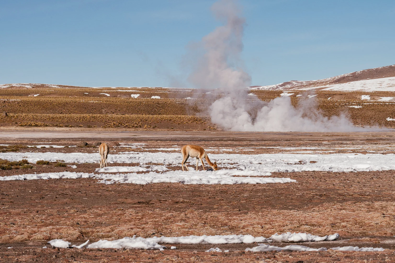 Atacama-6.jpg