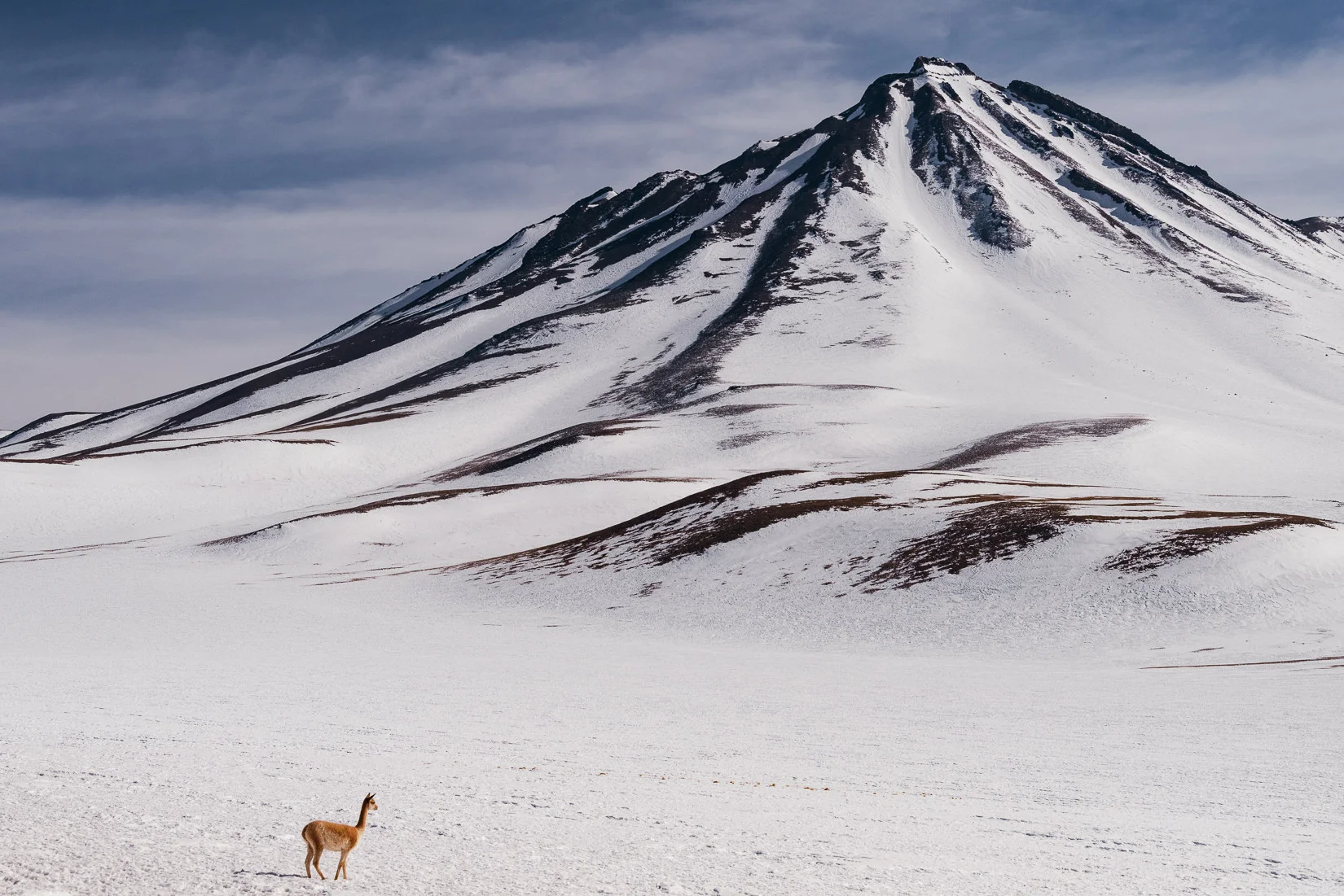 Atacama-19.jpg