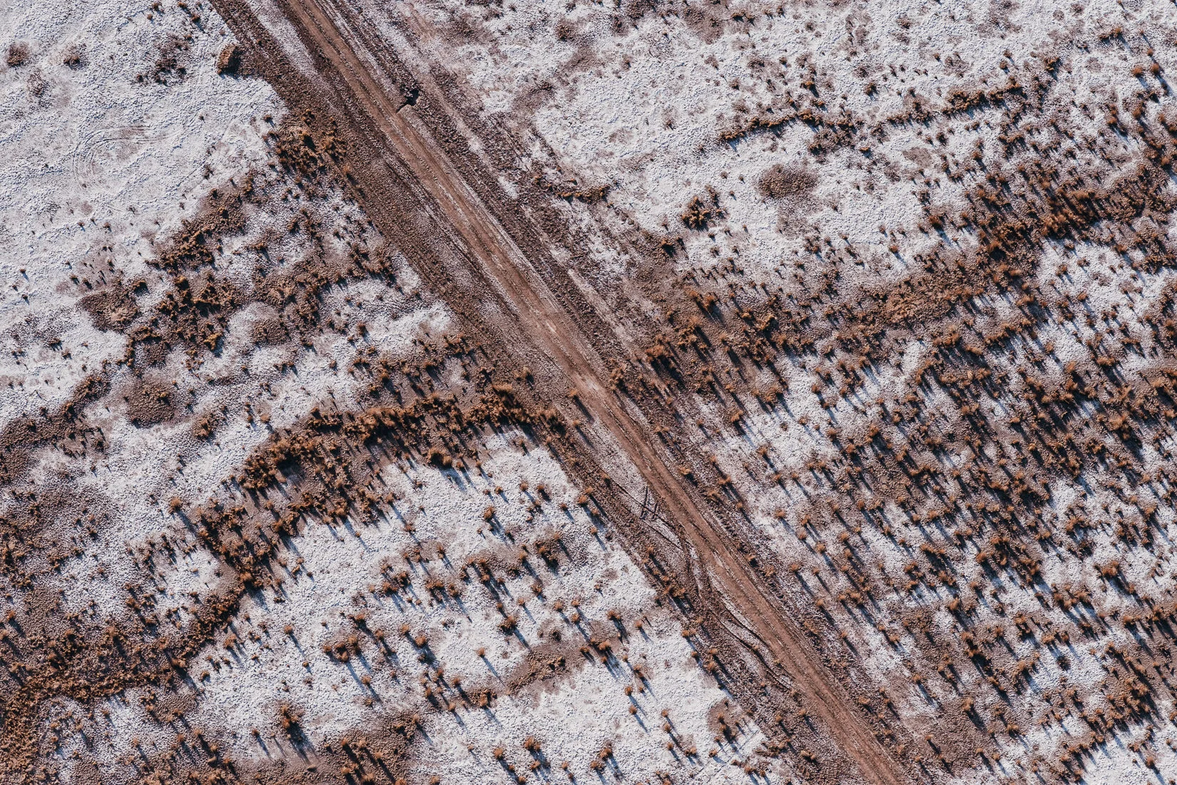Atacama-23.jpg