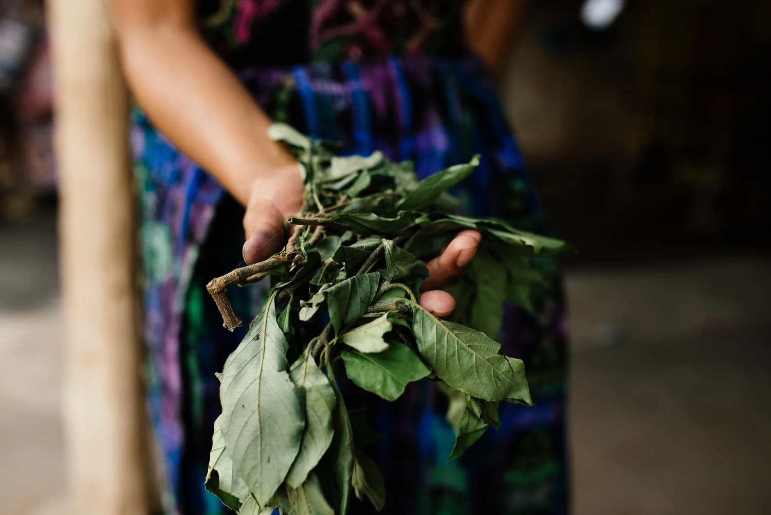 Guatemala_KateBallis_lowres-5802.JPG
