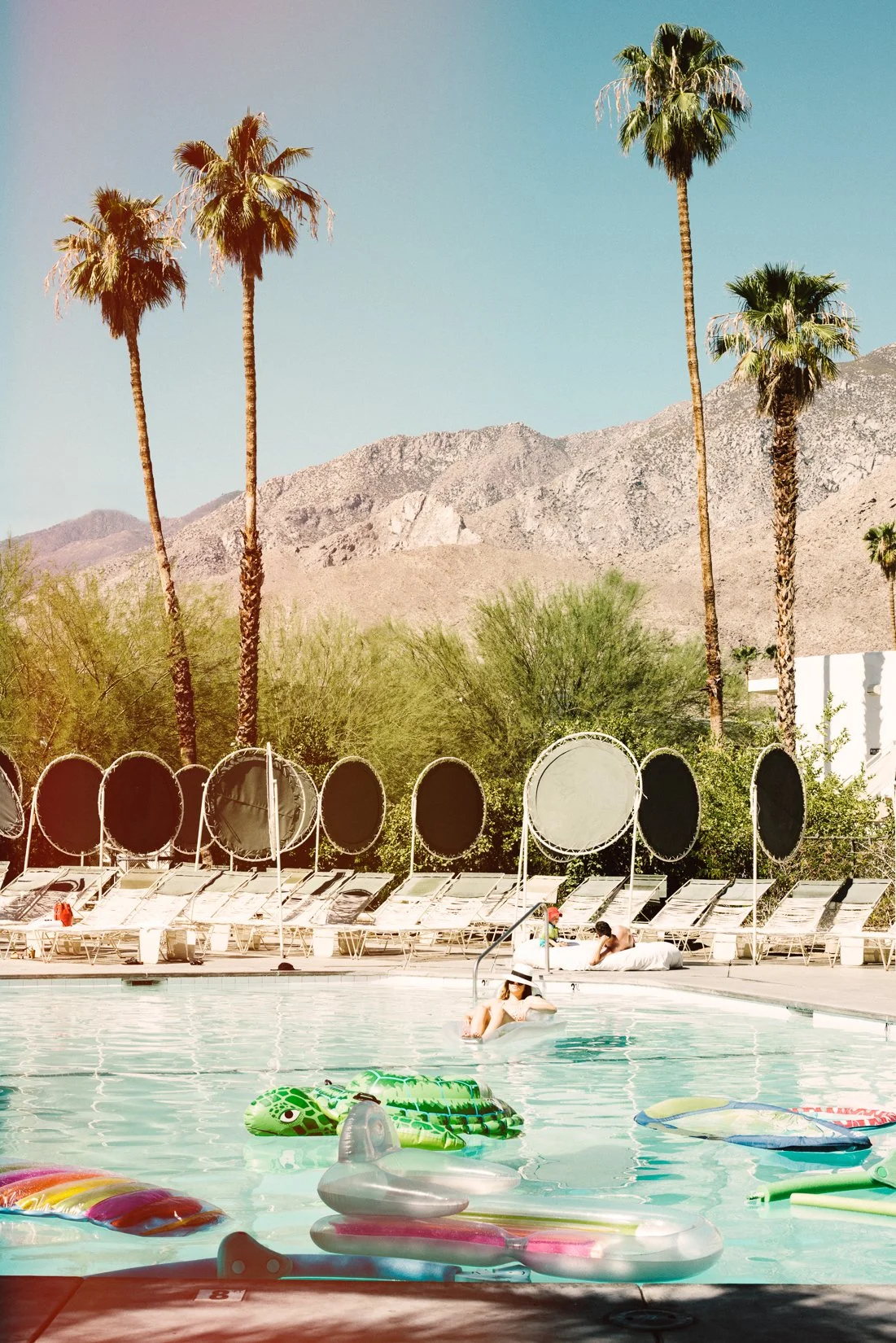 lazy days.JPG