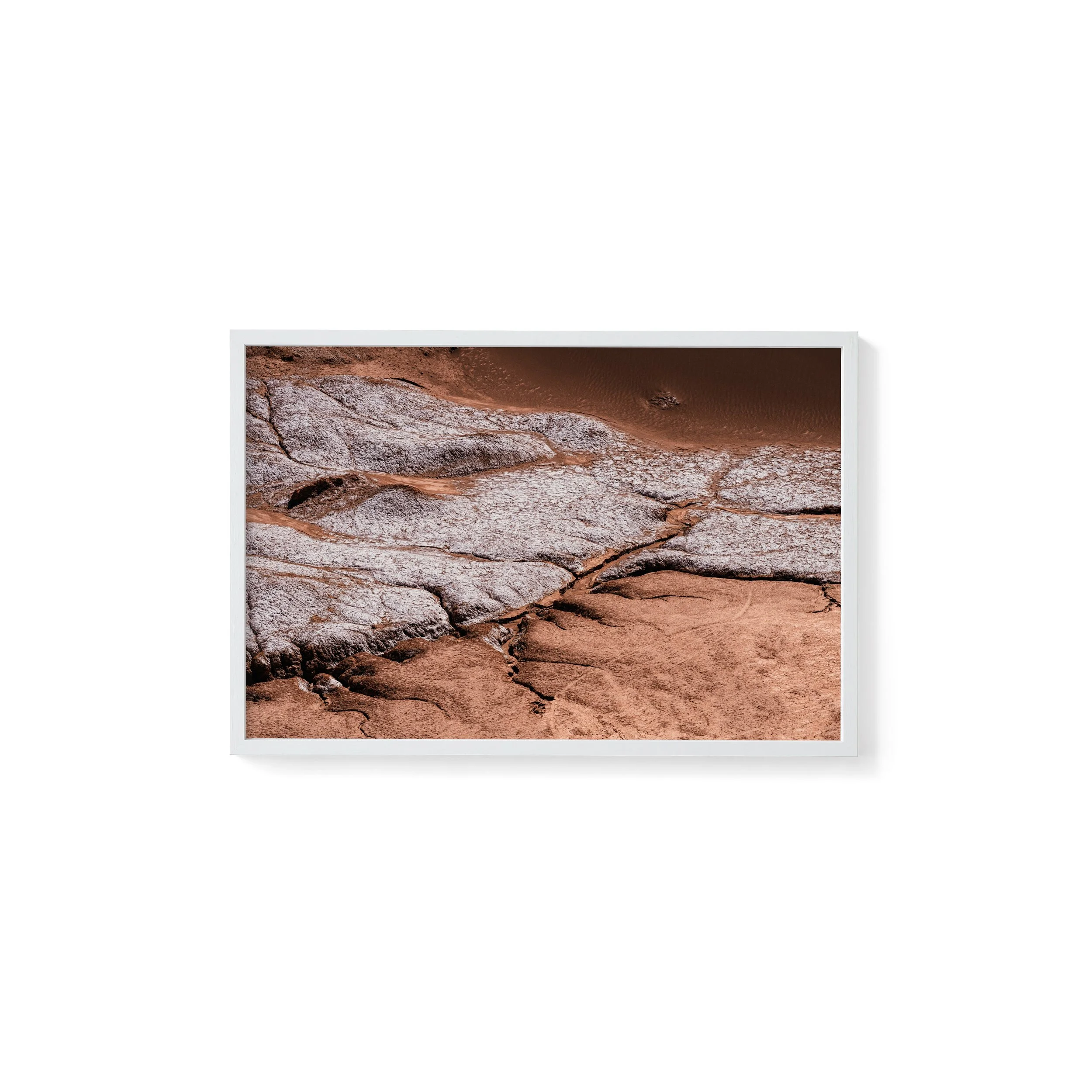 600x400_parched_White copy.jpg