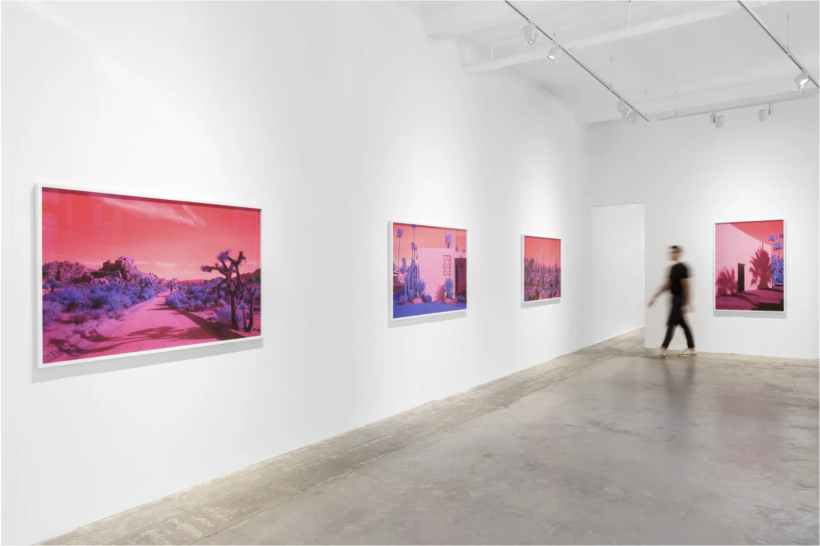 Screenshot 2026-02-26 at 8.20.08 PM.png