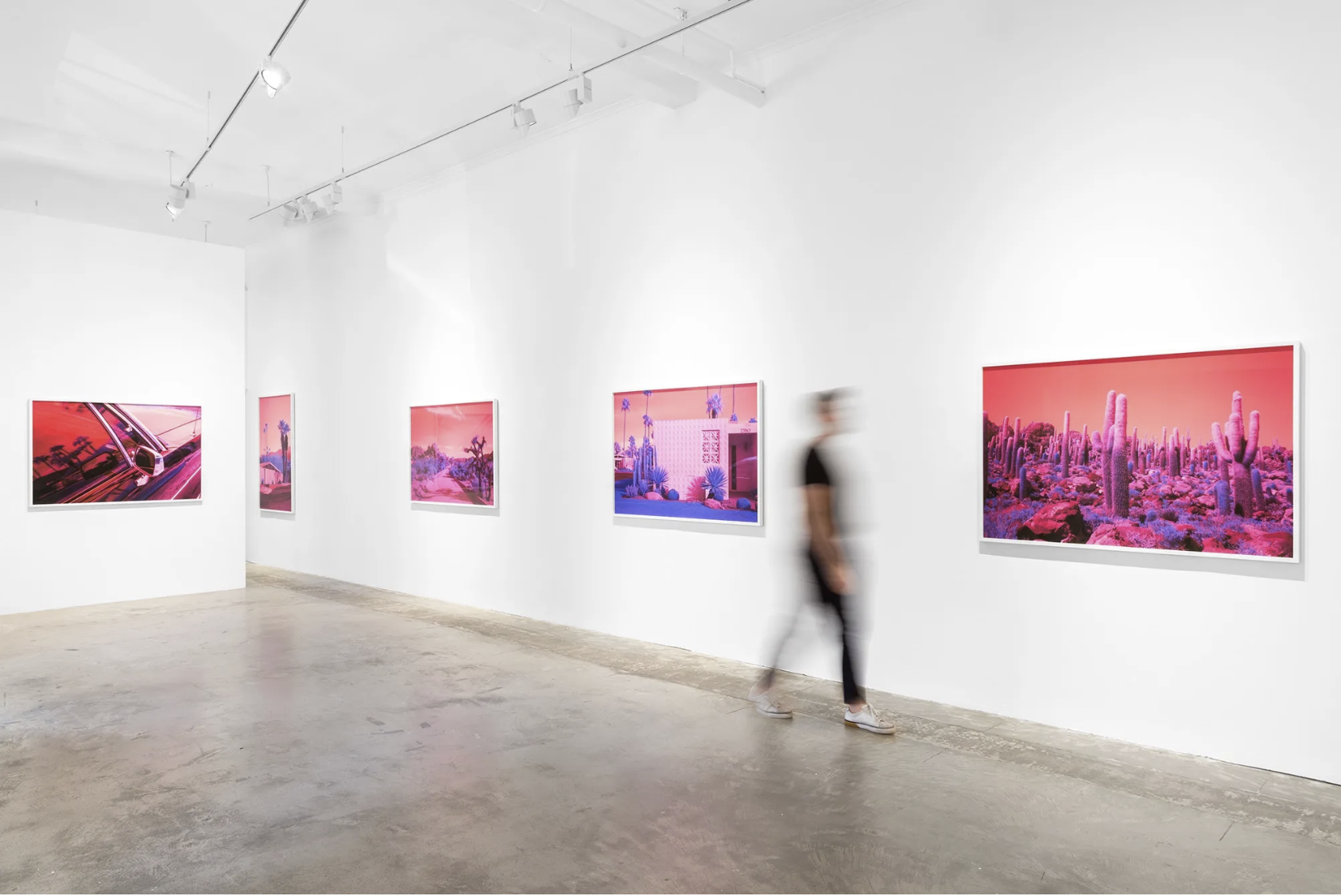 Screenshot 2026-02-26 at 8.19.17 PM.png