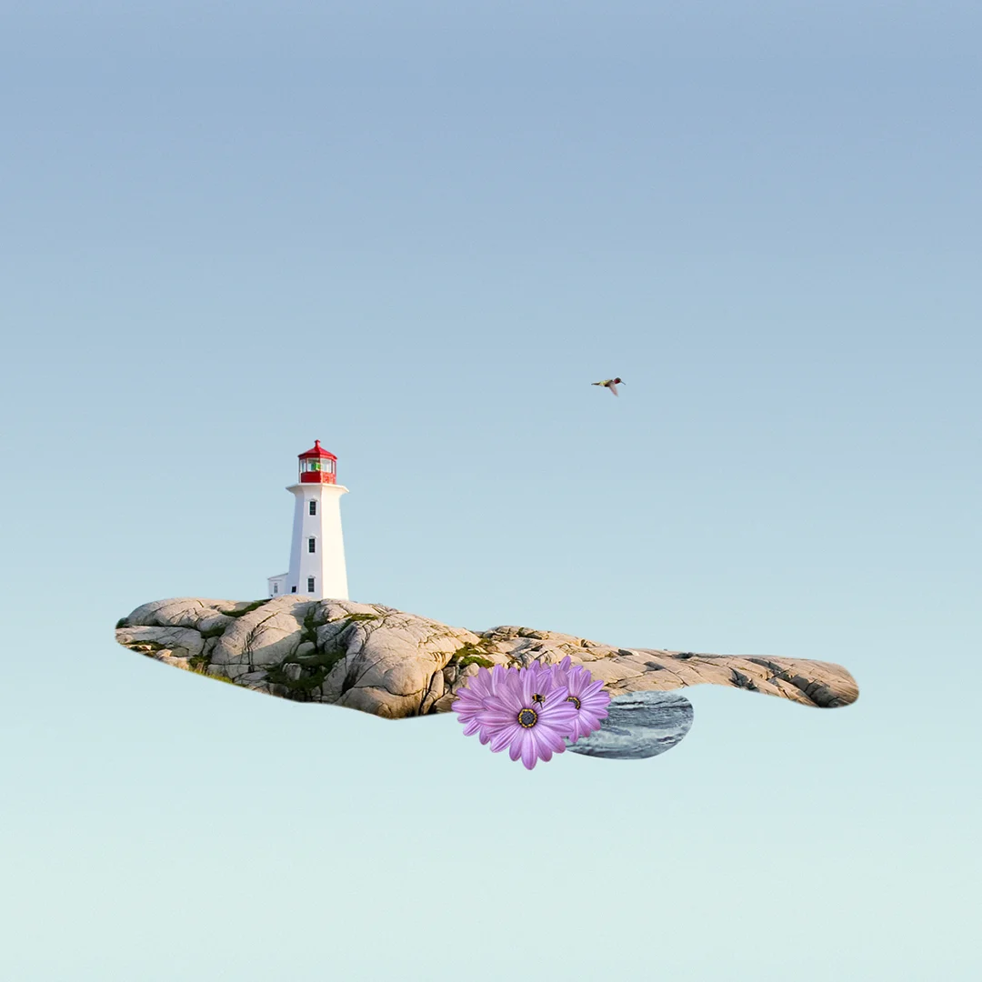 Thumbnail-1.jpg